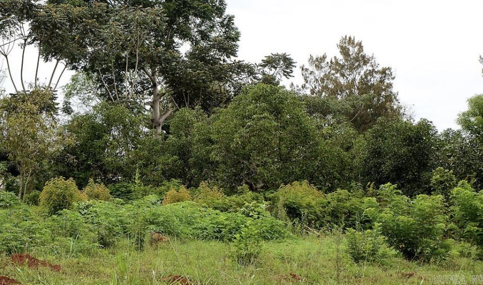 Clear Lake Estates - Land