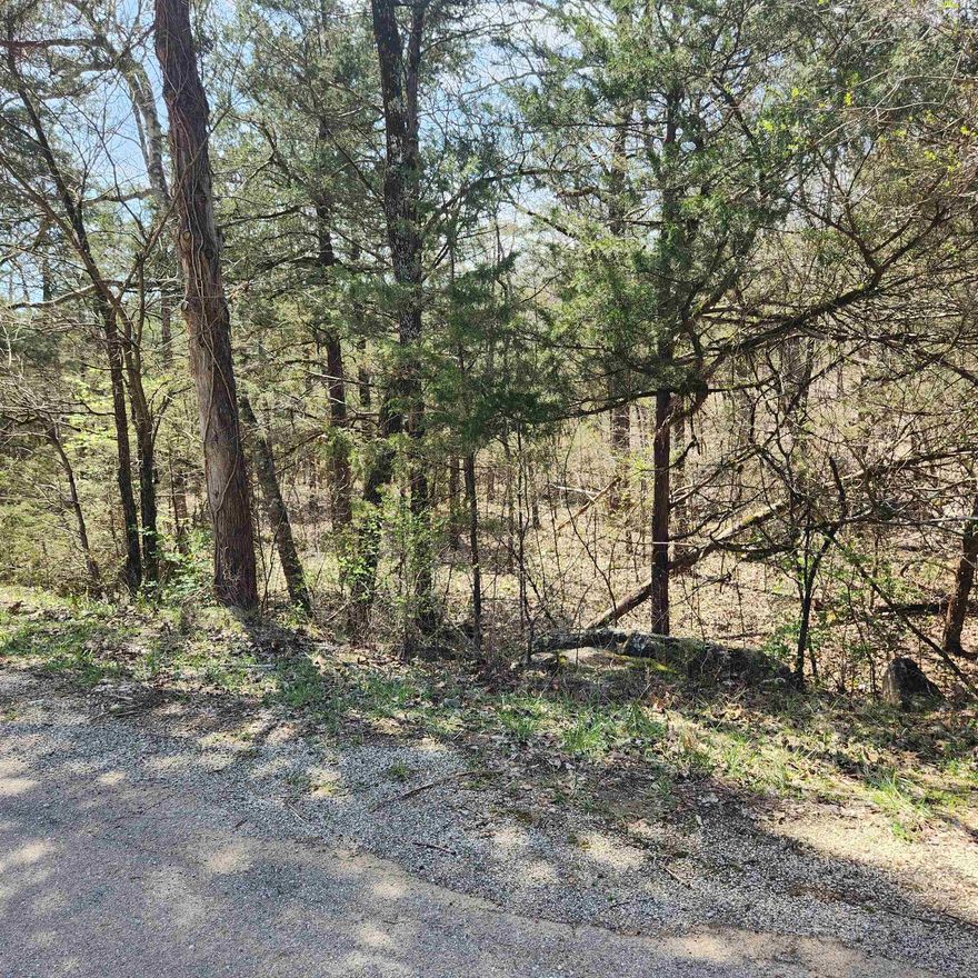 Really nicely wooded, hillside lot that could have outstanding views if a home was built properly. This lot sits high up on Flathead Rd with a possible great view over the Southfork River Valley. Flat head is a well-maintained road in the village. Come check this lot out, check out the view and see where you want to put your vacation home or your forever home. Retire here and fish 7 different lakes and golf 2 different 18-hole golf courses. Shop in Old Hardy town and trout fish the Spring River. Thats living the Cherokee Village lifestyle.