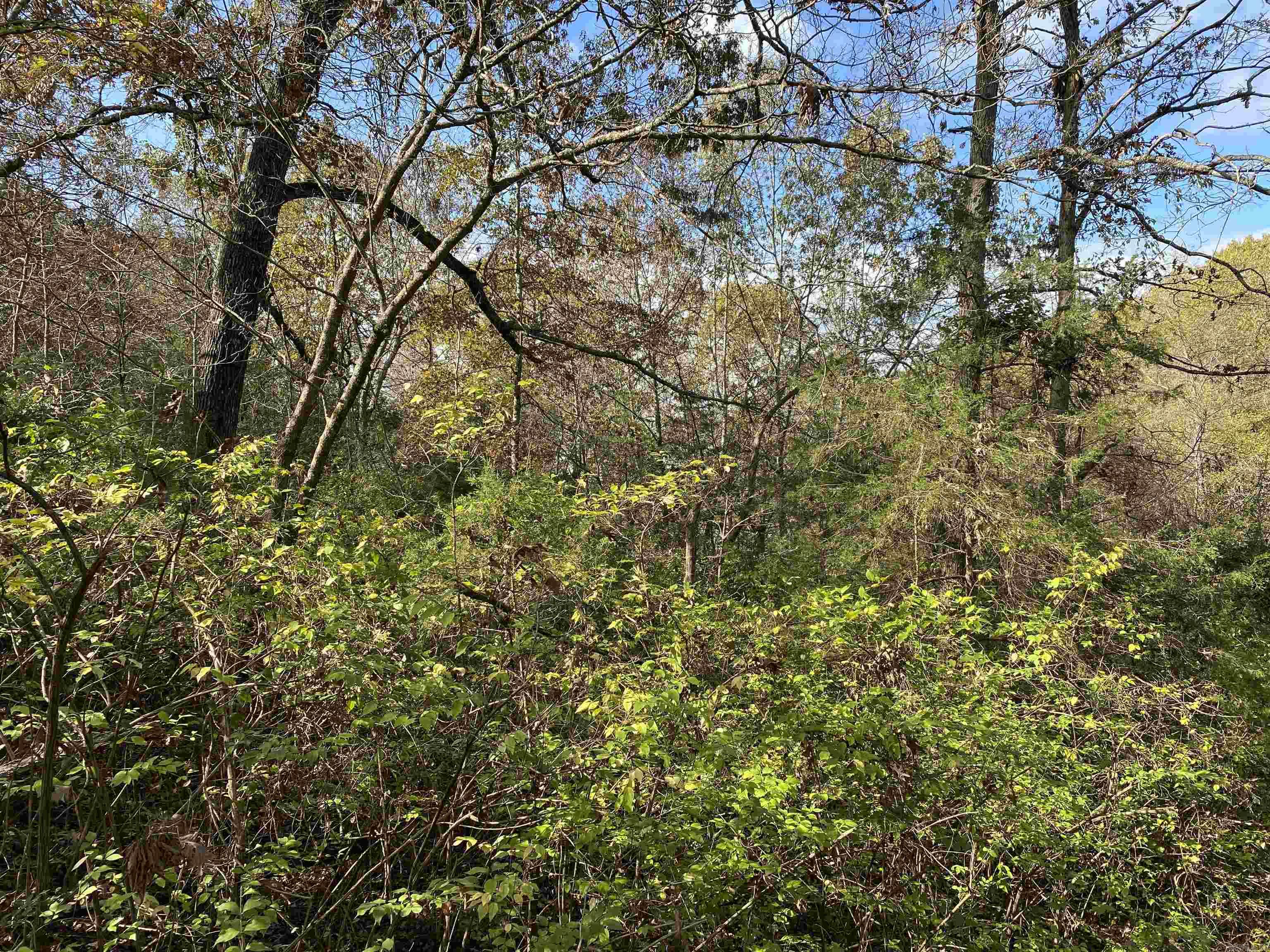 Meadowlake Estates - Land