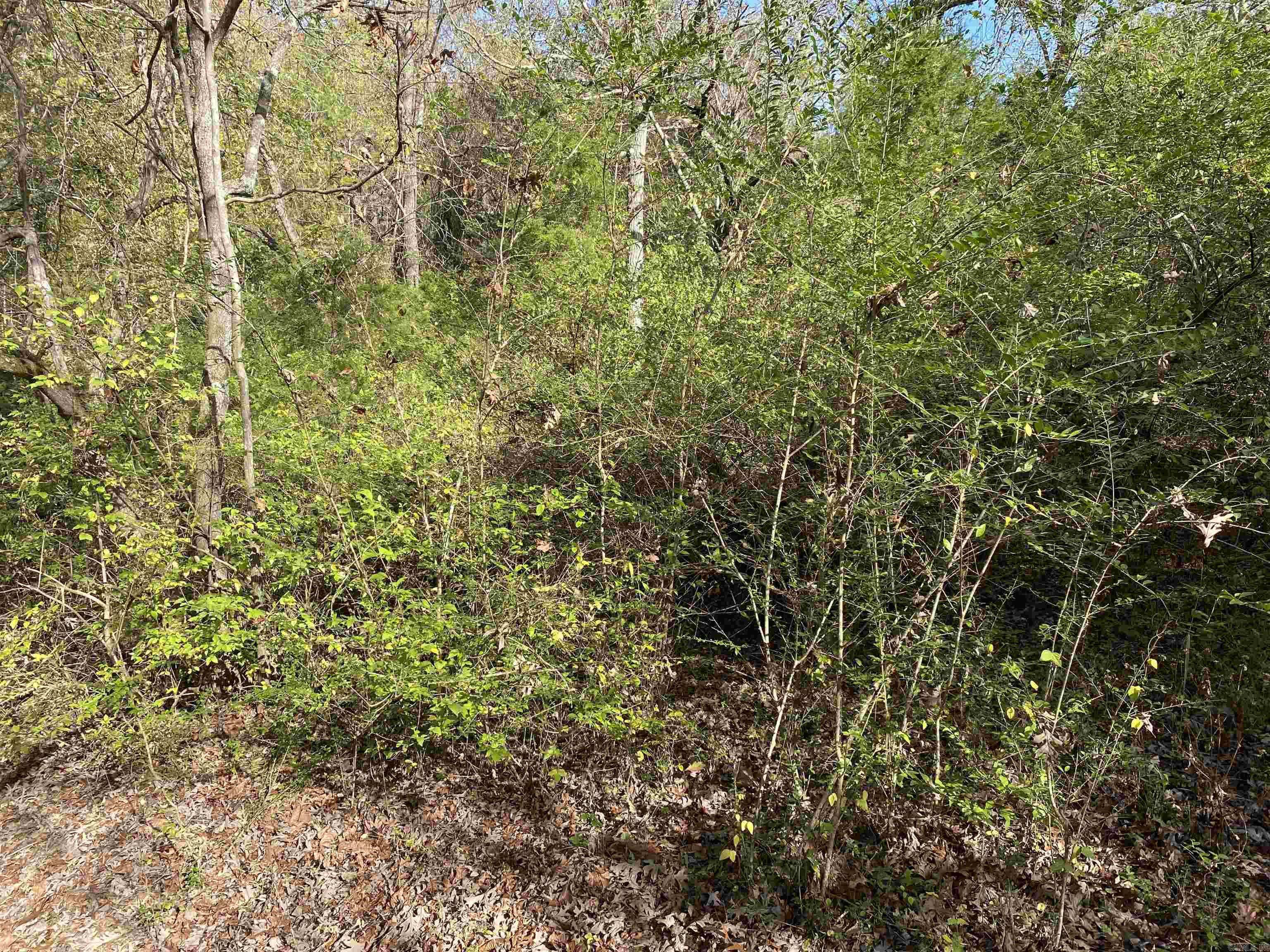 Meadowlake Estates - Land