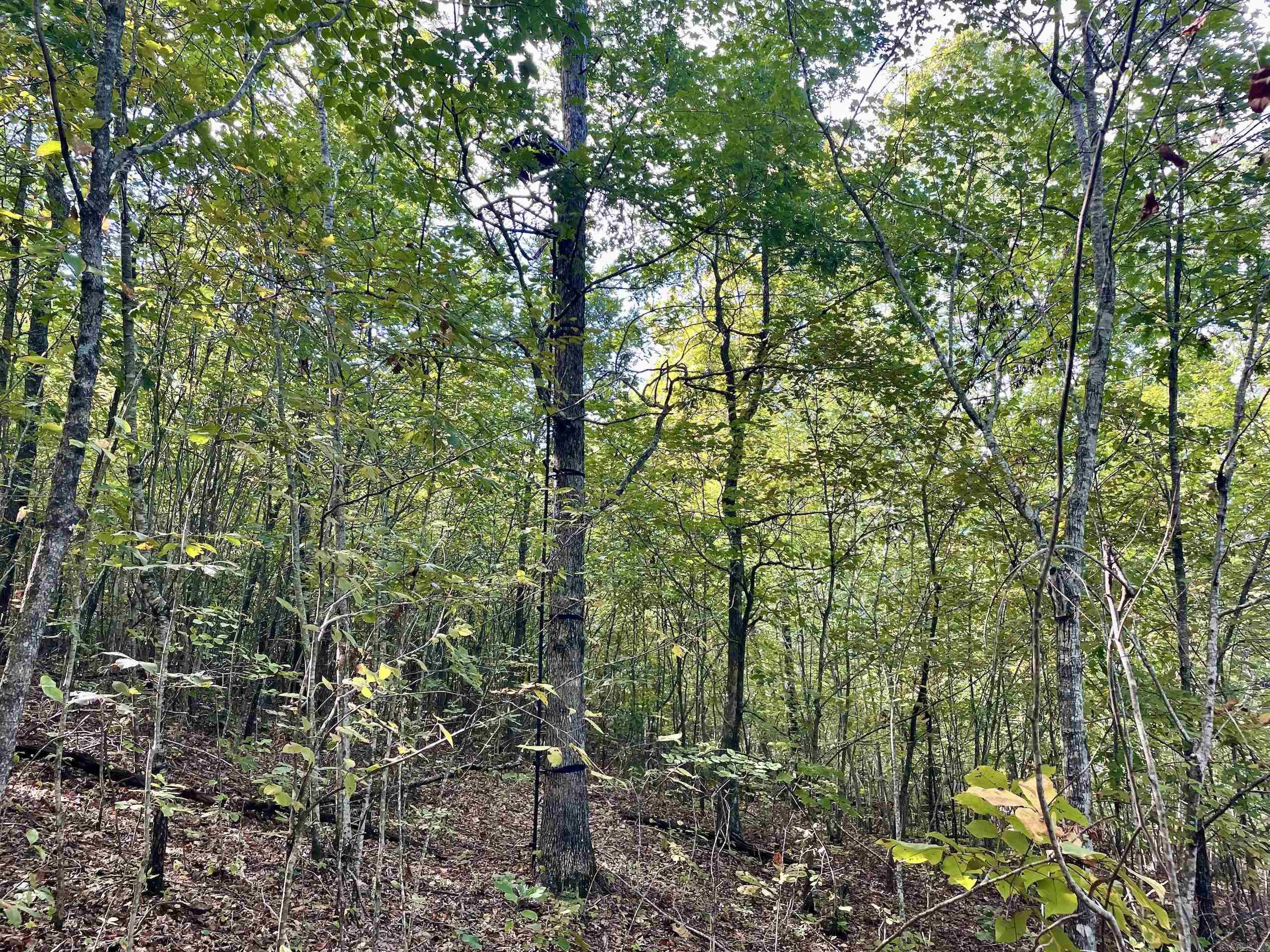 Not in Subdivision - Land