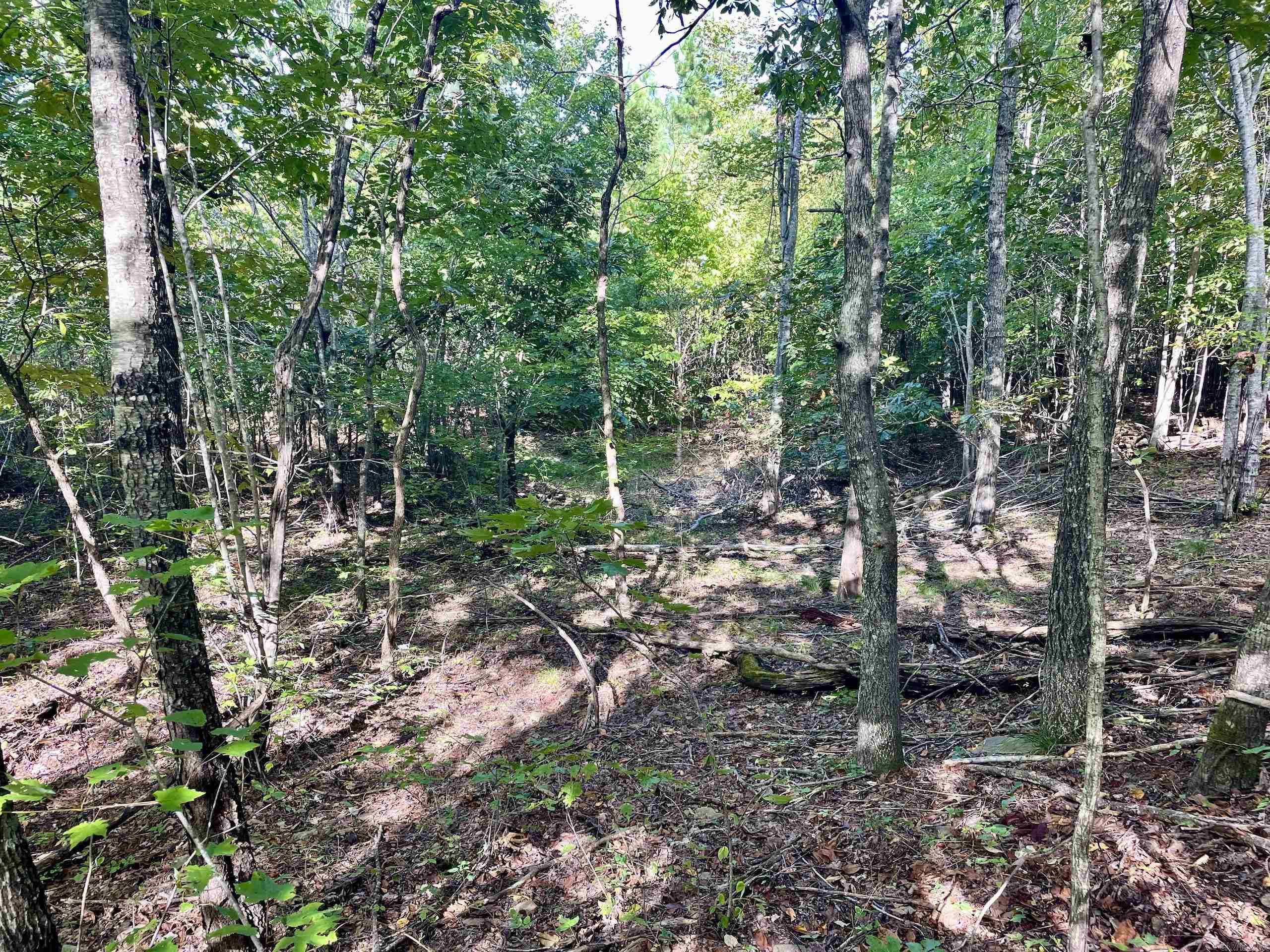 Not in Subdivision - Land