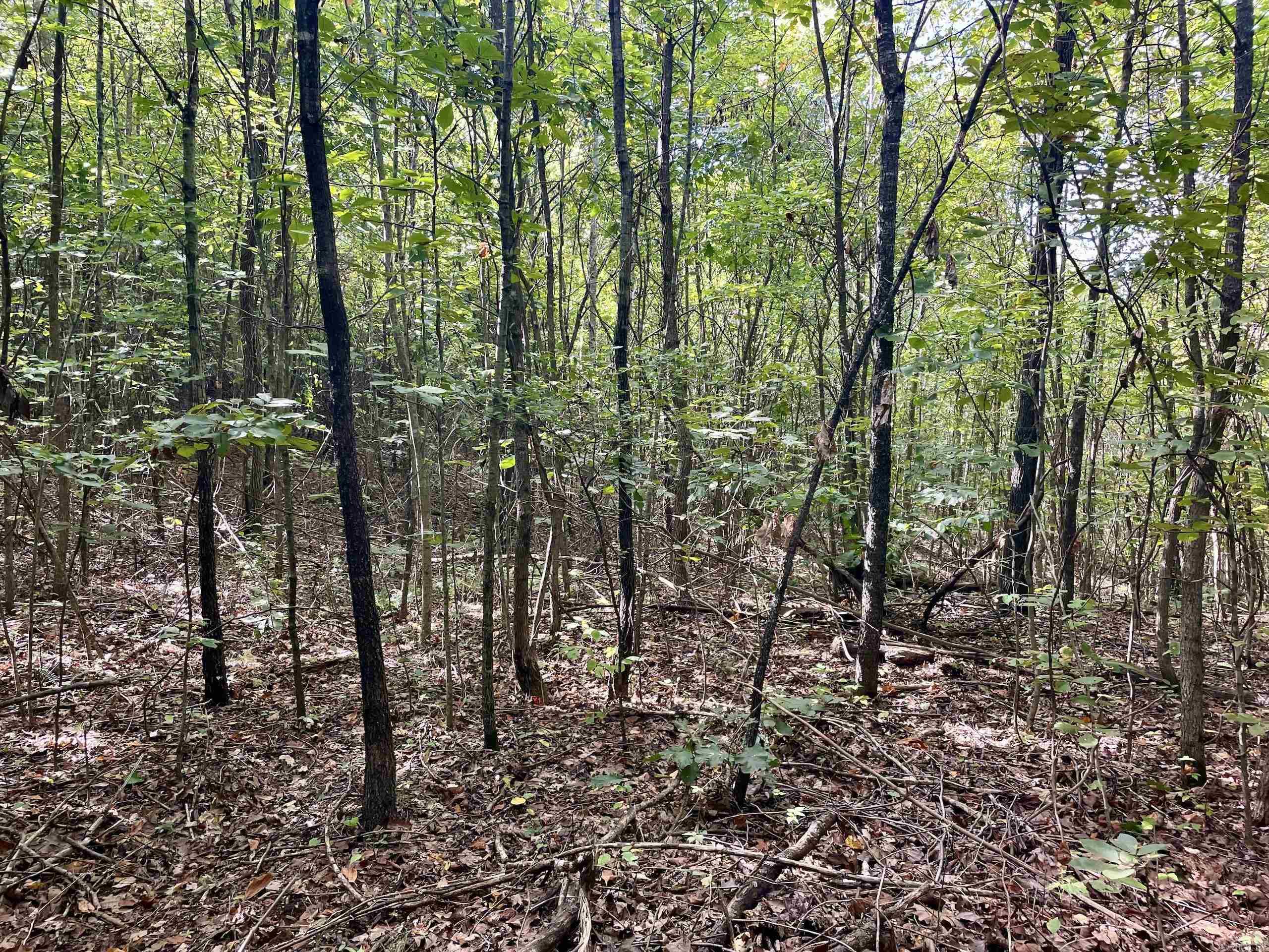 Not in Subdivision - Land