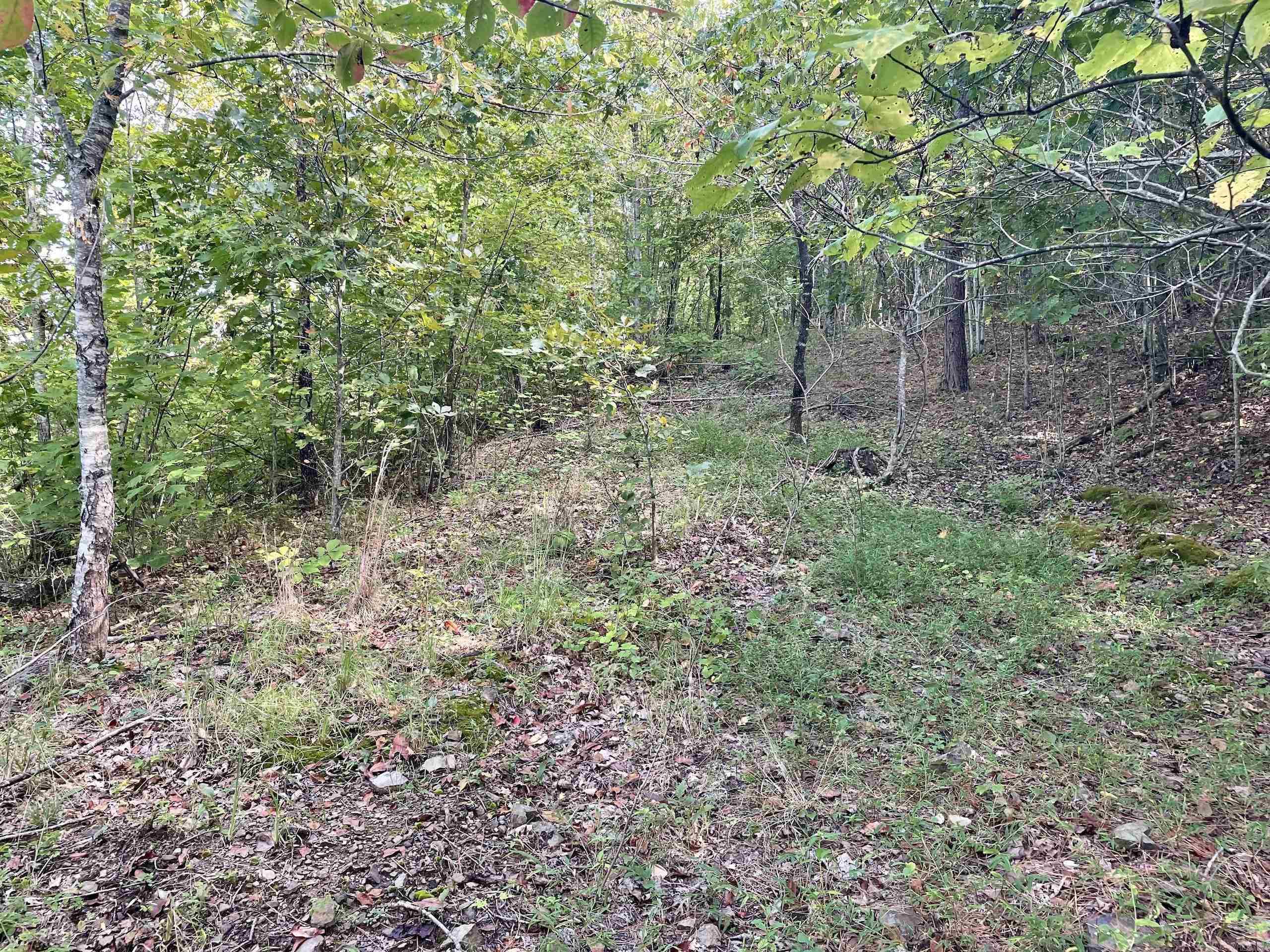 Not in Subdivision - Land