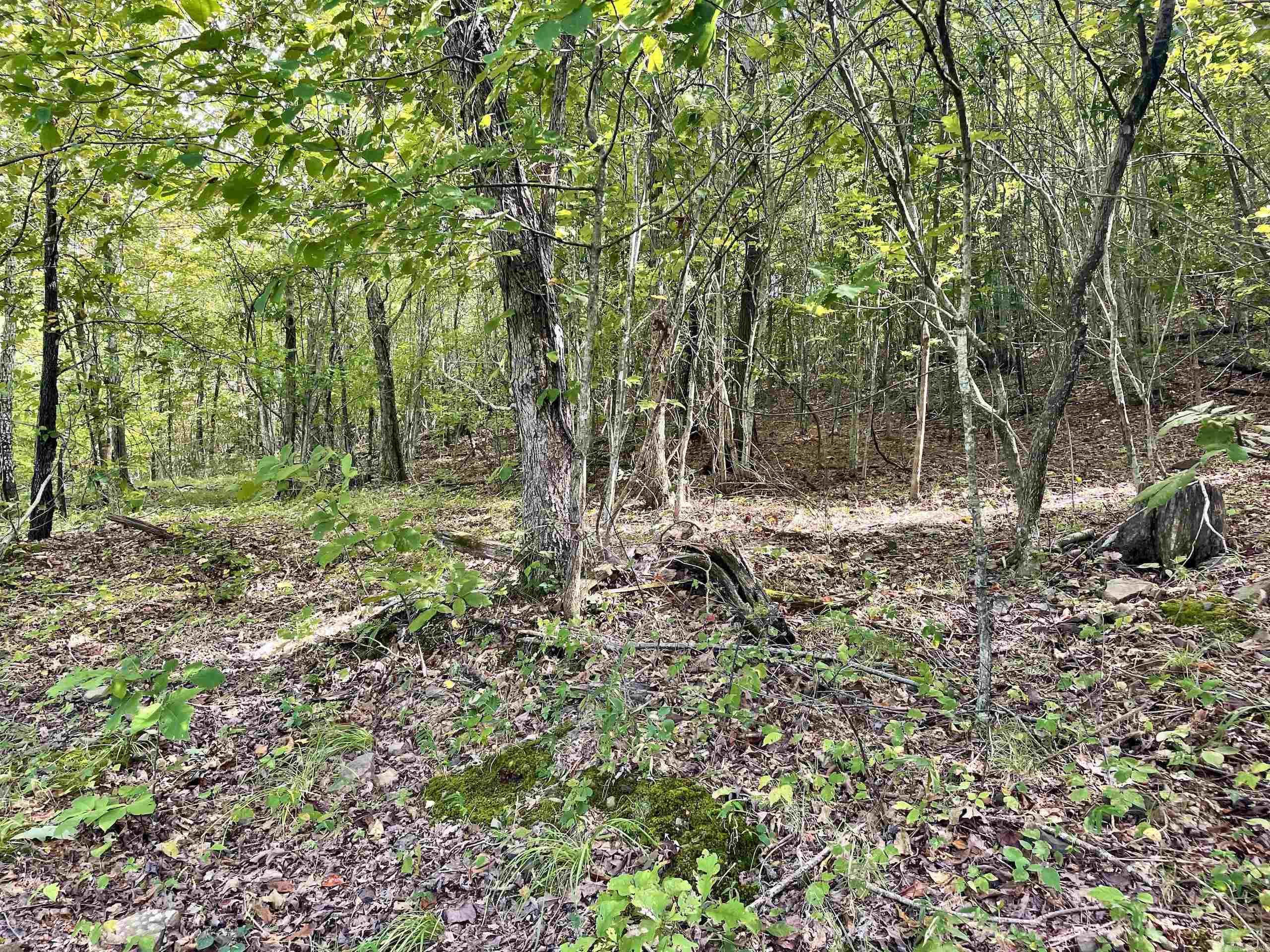 Not in Subdivision - Land