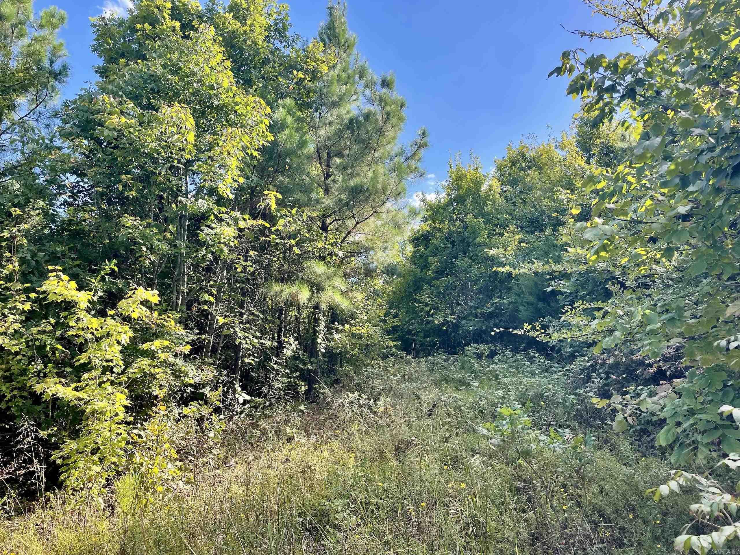 Not in Subdivision - Land