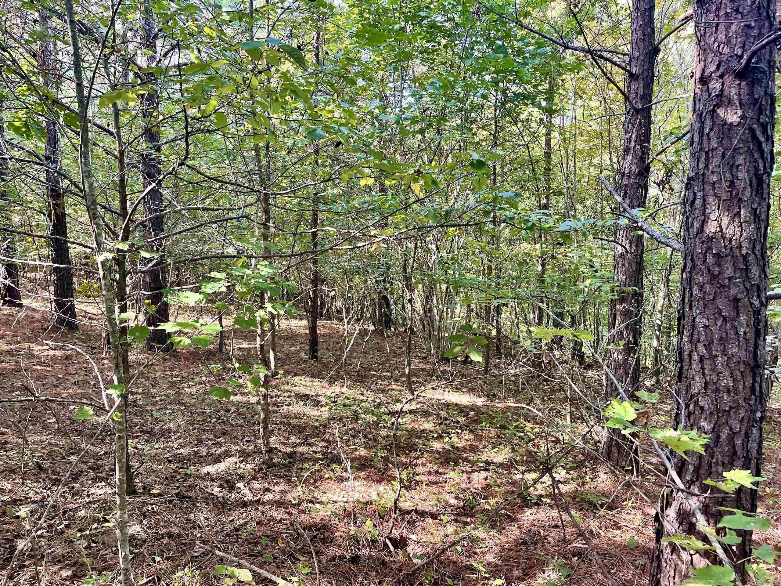 Not in Subdivision - Land