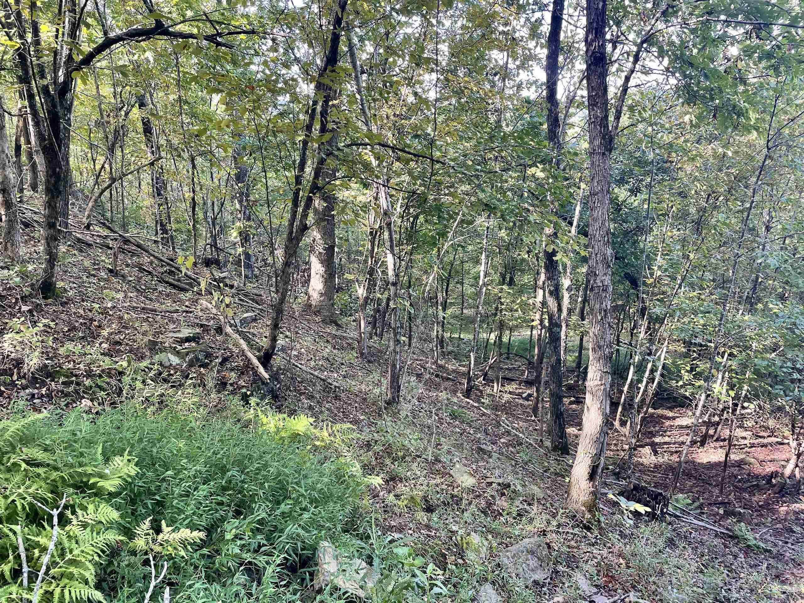 Not in Subdivision - Land