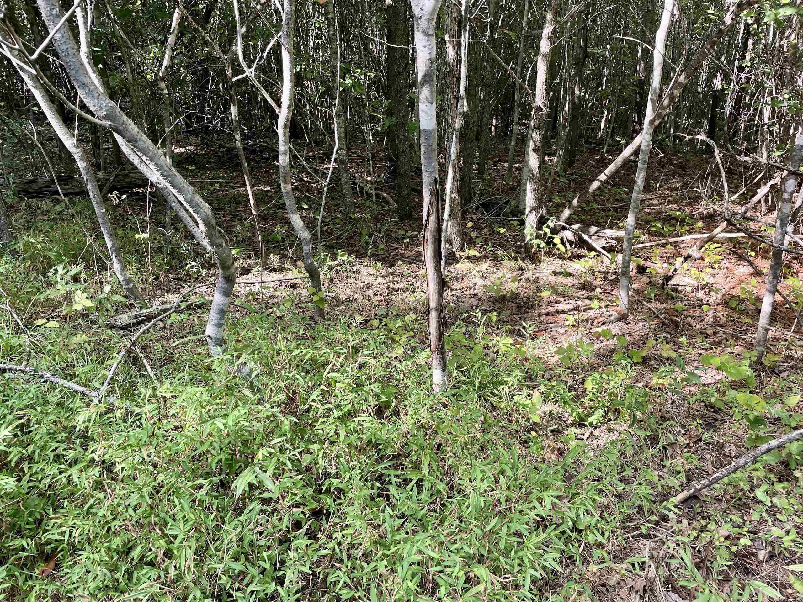 Not in Subdivision - Land