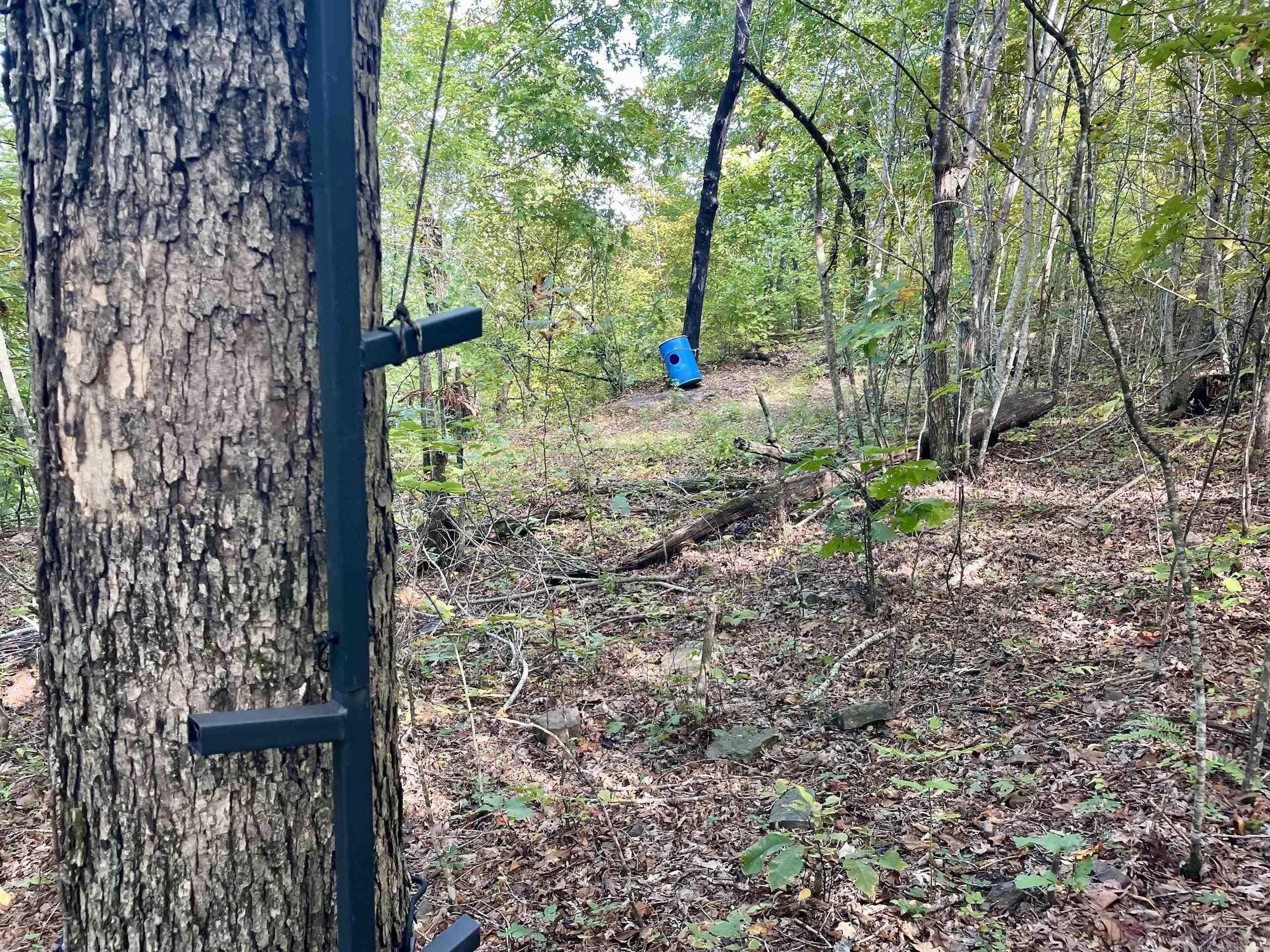 If you are looking for a remote property with excellent hunting, stunning views, and convenient access, then this property will not disappoint. Situated on a quiet gravel road, you enter the property and travel up to a nice level building site that is already cleared with great views of the valley. Several existing trails provide access to other parts of the property and could be used as stand locations or for ATV riding. The timber was selectively harvested years ago, which has produced great habitat that attracts and holds deer, turkey, and bear. Electricity is at the road and water is nearby.