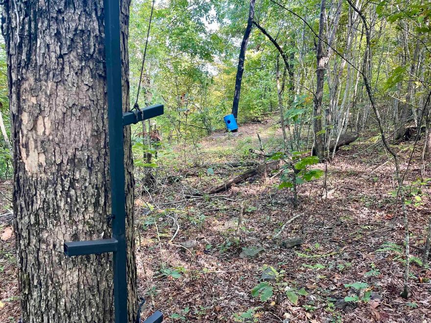 If you are looking for a remote property with excellent hunting, stunning views, and convenient access, then this property will not disappoint. Situated on a quiet gravel road, you enter the property and travel up to a nice level building site that is already cleared with great views of the valley. Several existing trails provide access to other parts of the property and could be used as stand locations or for ATV riding. The timber was selectively harvested years ago, which has produced great habitat that attracts and holds deer, turkey, and bear. Electricity is at the road and water is nearby.