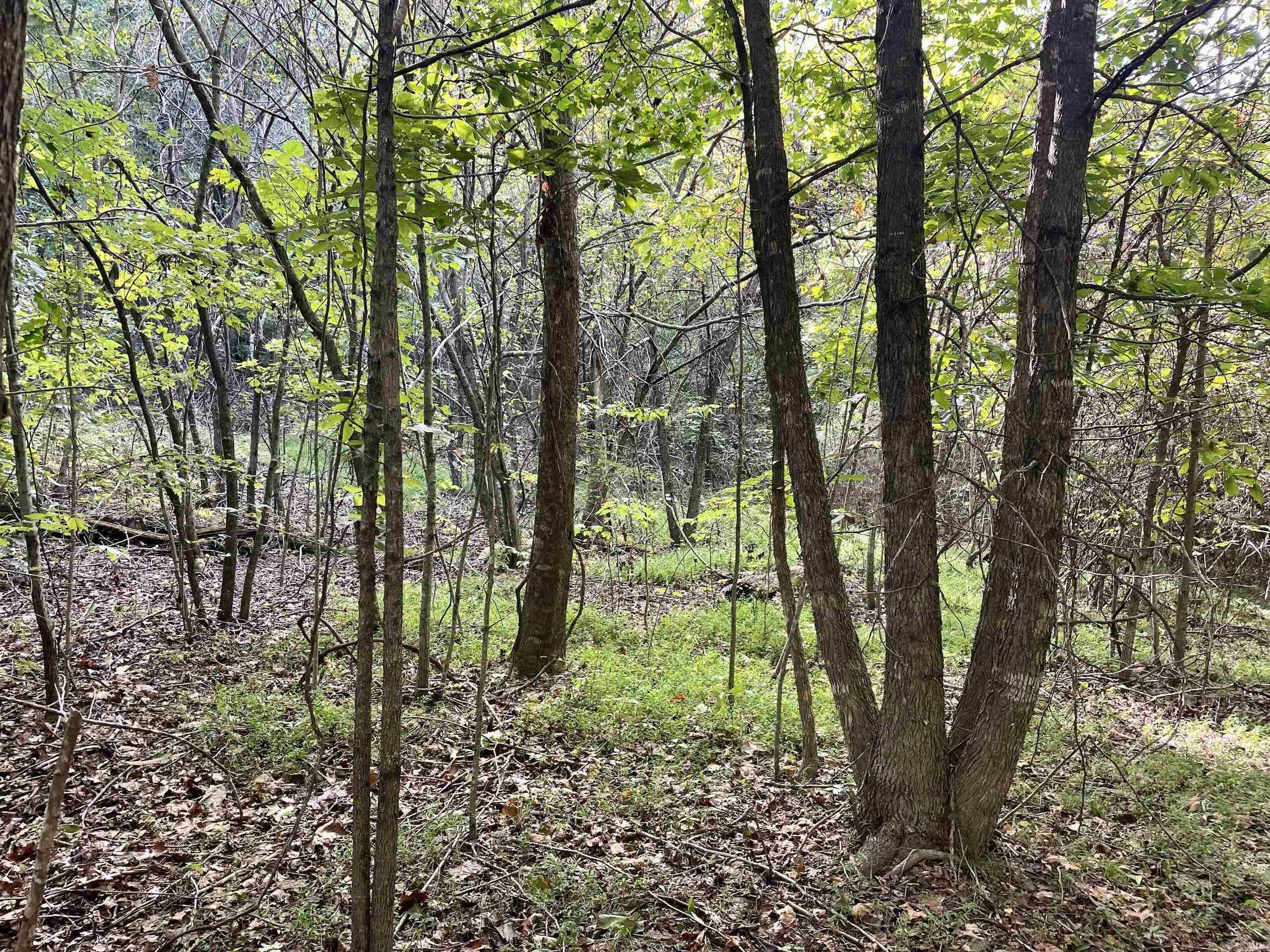 Not in Subdivision - Land