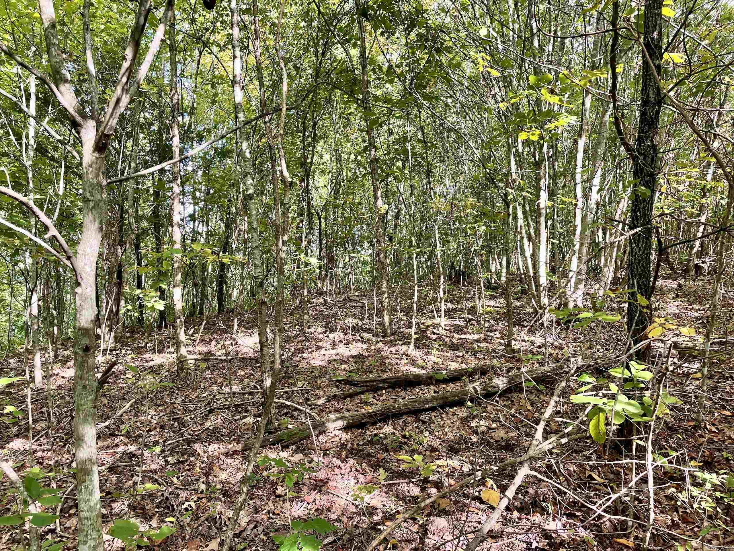 Not in Subdivision - Land