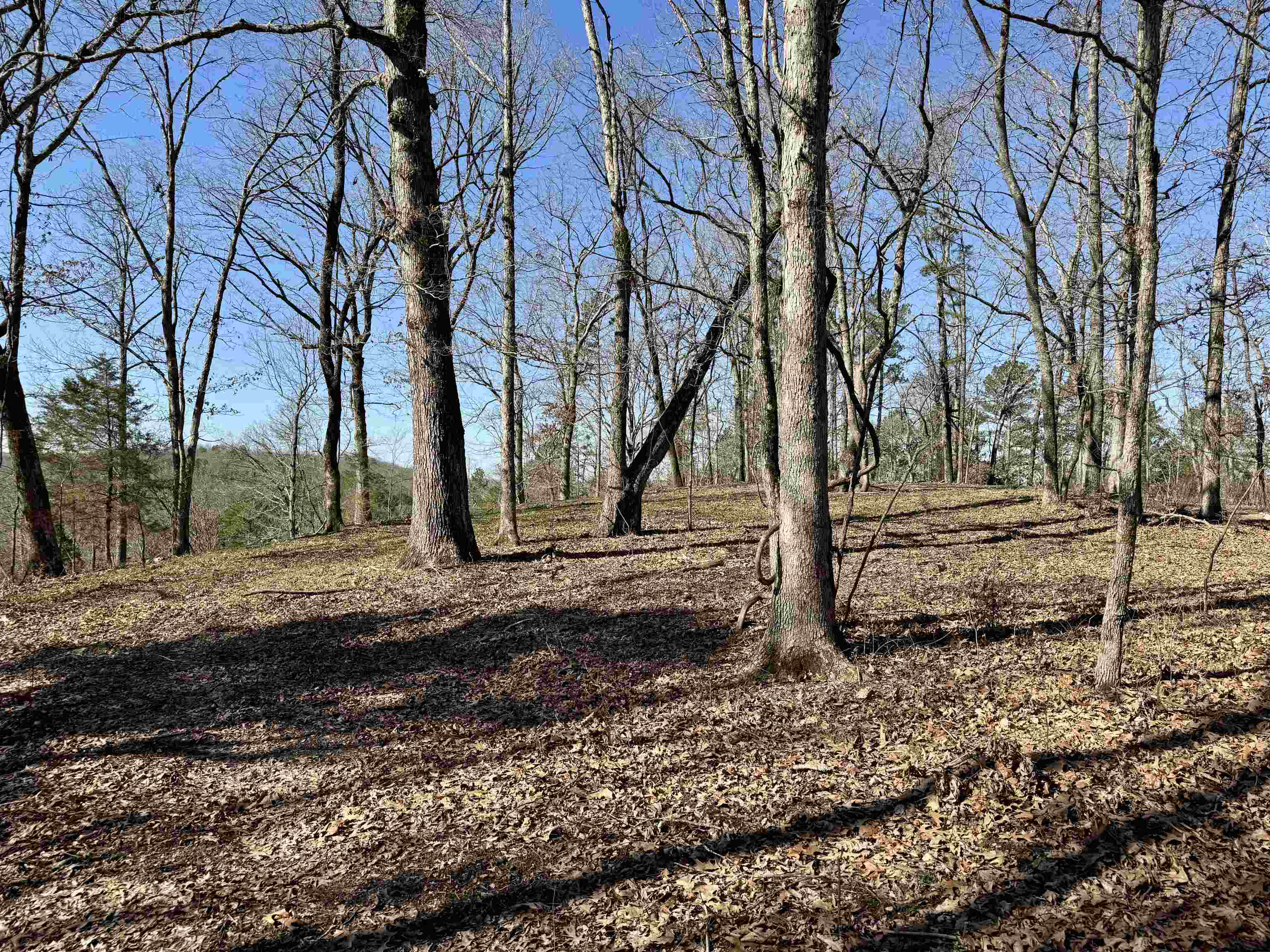 Metes & Bounds - Land