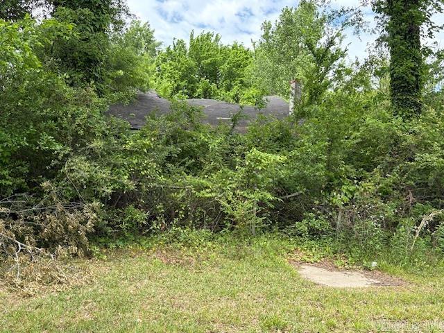 Altheimer Town - Land