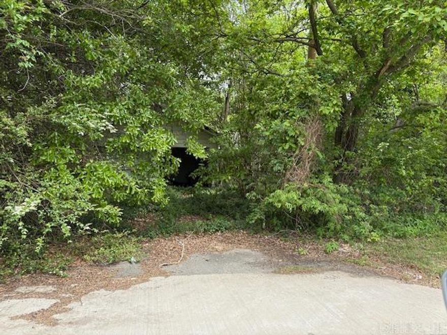 A corner lot in Altheimer.  Will need to be cleared. Please see agent remarks.