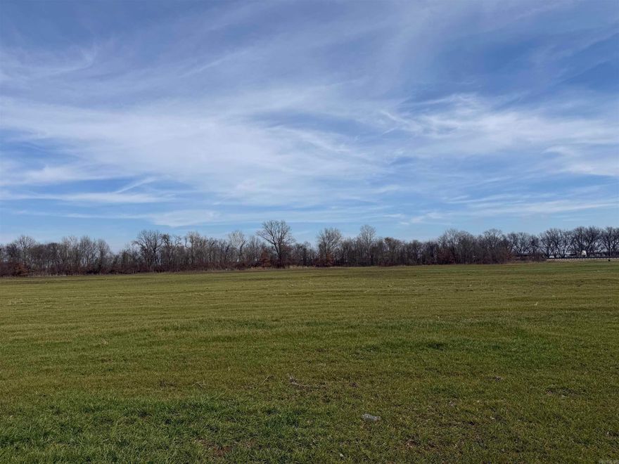 Prime Commercial Opportunity  20 Acres in a High-Traffic Location Positioned at the corner of 425/81 and Highway 65 South, this exceptional 20-acre commercial tract offers outstanding visibility and access in one of the area’s busiest corridors. Located directly across from Love’s Truck Stop, this property benefits from consistent daily traffic, strong highway frontage, and excellent exposure for a wide variety of commercial ventures. With its strategic corner location and proximity to major travel routes, this site is perfectly suited for a restaurant, additional truck stop, shopping center, retail development, service plaza, hotel, or mixed-use commercial project. The high-traffic setting provides incredible potential for businesses looking to capitalize on both local and pass-through customers. Whether you’re an investor, developer, or business owner seeking a prime location with room to grow, this 20-acre tract offers the visibility, accessibility, and versatility needed to bring your vision to life. Opportunities like this in such a prominent location are rare! Don’t miss the chance to secure a premier commercial site with unlimited potential.