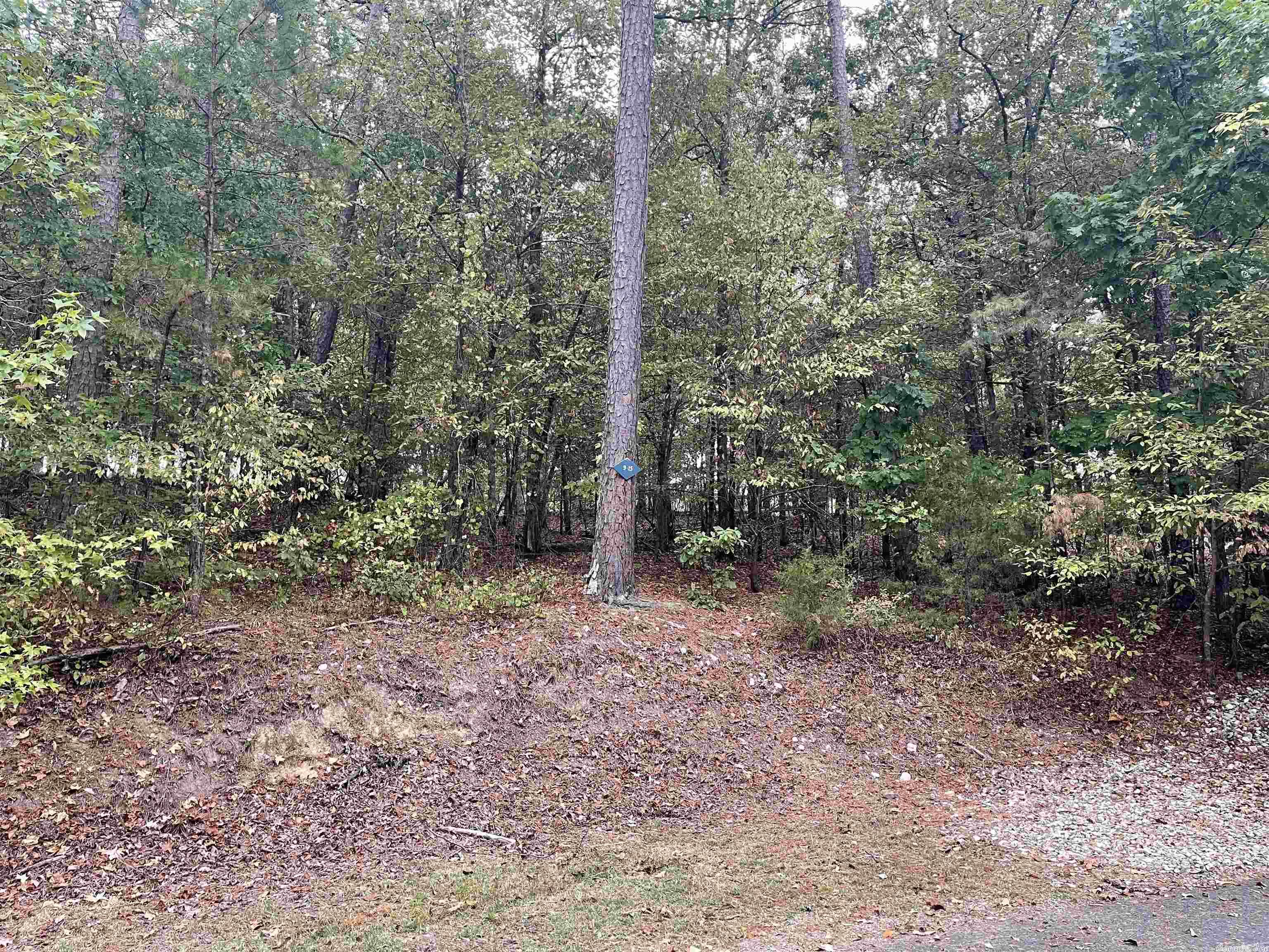 Prime Diamante Golf Frontage Lot! Build your Dream home in this golfers paradise and enjoy the beautiful surroundings of Arkansas! Diamante Country Club amenities include tennis, private pool, dining & social events. Hot Springs Village is the largest gated community in the country with over 26,000 acres. We have over 30 miles of hiking trails, tennis and pickleball courts, community center with indoor pool, outdoor pool, 8 additional golf courses,11 lakes & an array of activities & groups to choose from.