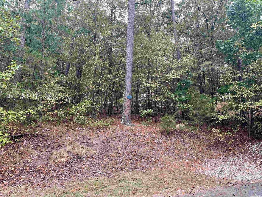Prime Diamante Golf Frontage Lot! Build your Dream home in this golfers paradise and enjoy the beautiful surroundings of Arkansas! Diamante Country Club amenities include tennis, private pool, dining & social events. Hot Springs Village is the largest gated community in the country with over 26,000 acres. We have over 30 miles of hiking trails, tennis and pickleball courts, community center with indoor pool, outdoor pool, 8 additional golf courses,11 lakes & an array of activities & groups to choose from.