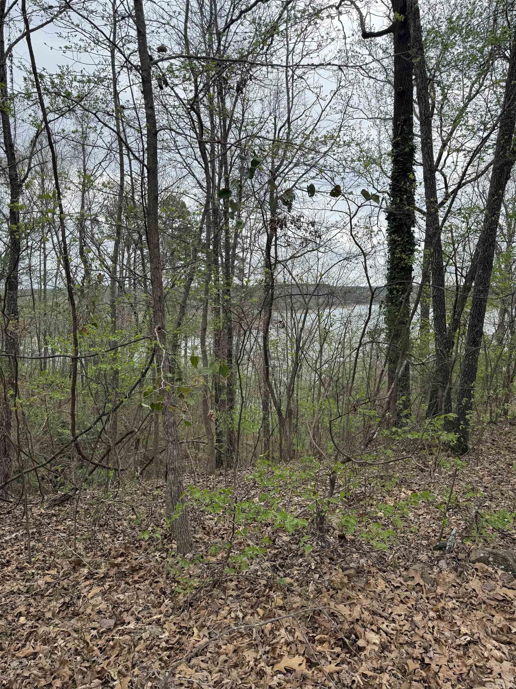 Peter Rock Section B - Land