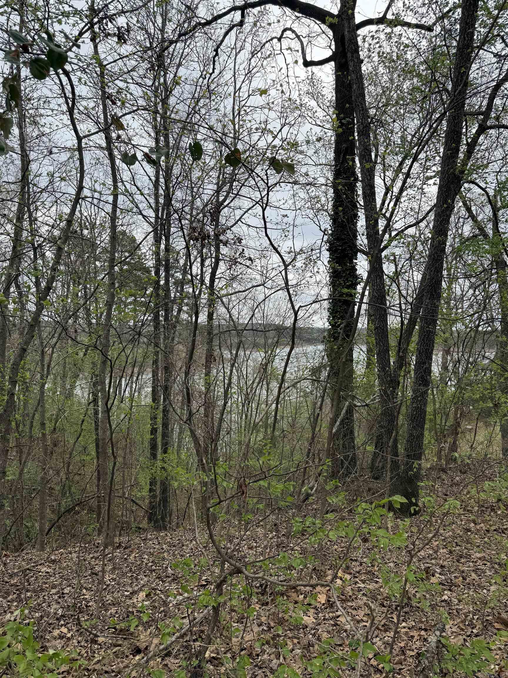 Peter Rock Section B - Land