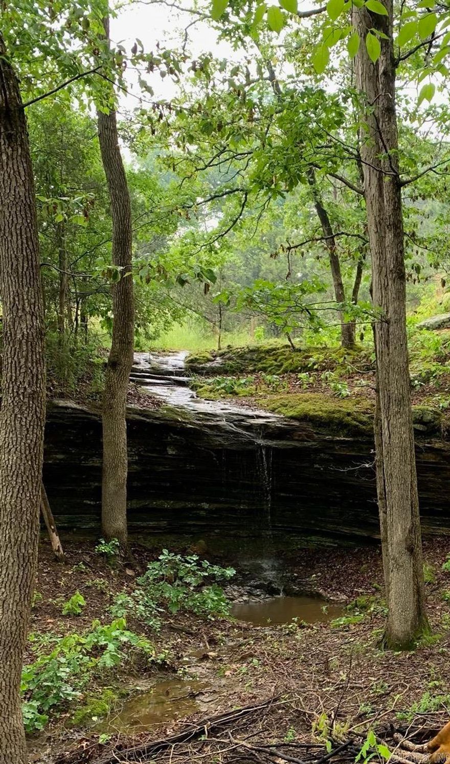 24.85 acres m/l of mostly wooded acreage with bluffs and a wet weather creek.