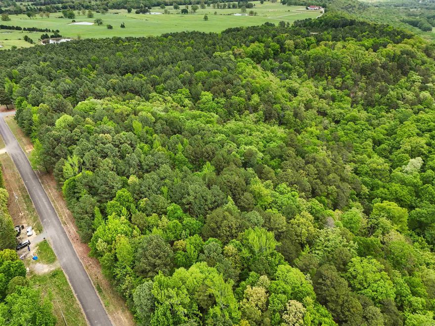 Beautiful, unrestricted land with a mix of hardwoods and evergreens. Utilities at road. Great spot to build on property. Approximate 5-6 acres are level, with a 25' wet weather waterfall/ravine. Be sure to check out the aerial drone video. Call today to make this yours!