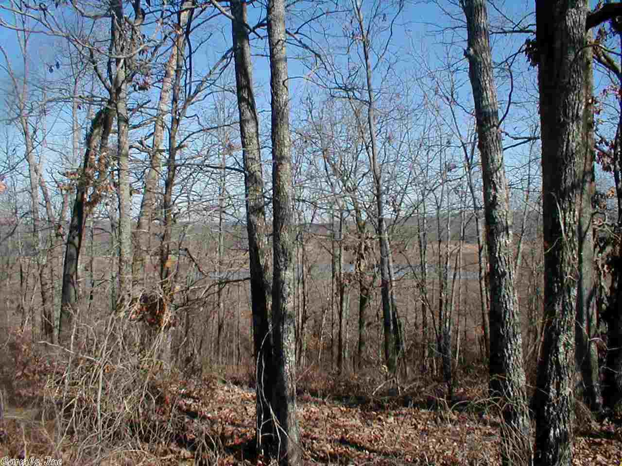 Photo 2 of 2 of LOT 43 CRAPPIE Lane land