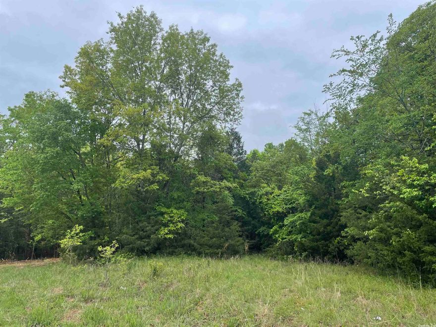 End-of-the-road tranquility can be yours with these 6.21 acres m/l located near city park, state park access and Bull Shoals Dam. With a little clearing, there are multiple building sites in this quiet neighborhood nestled within city limits. All city utilities available at the property. $37,800