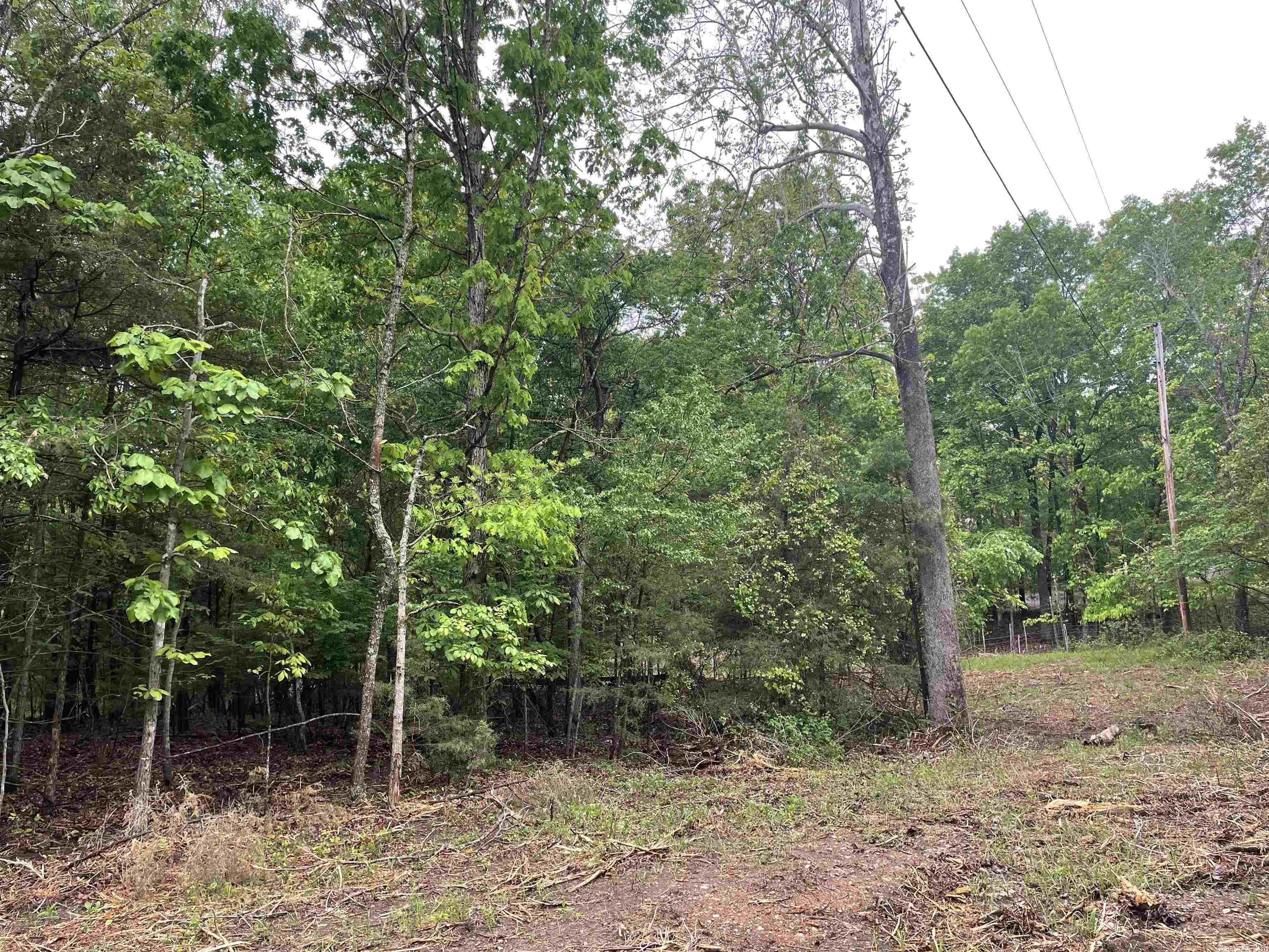 Not in Subdivision - Land