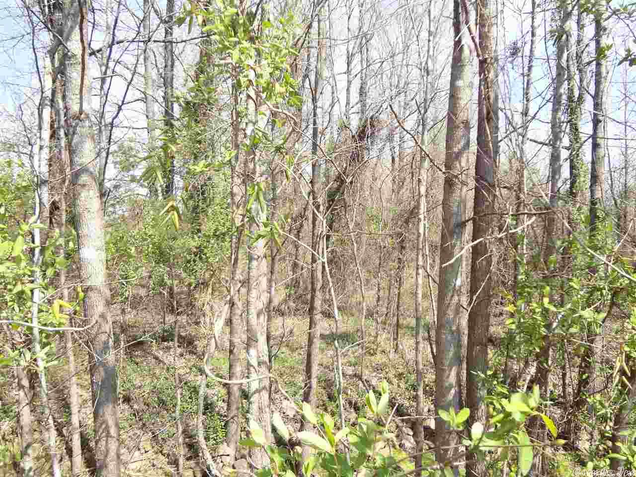 Saddle Brook Estates - Land