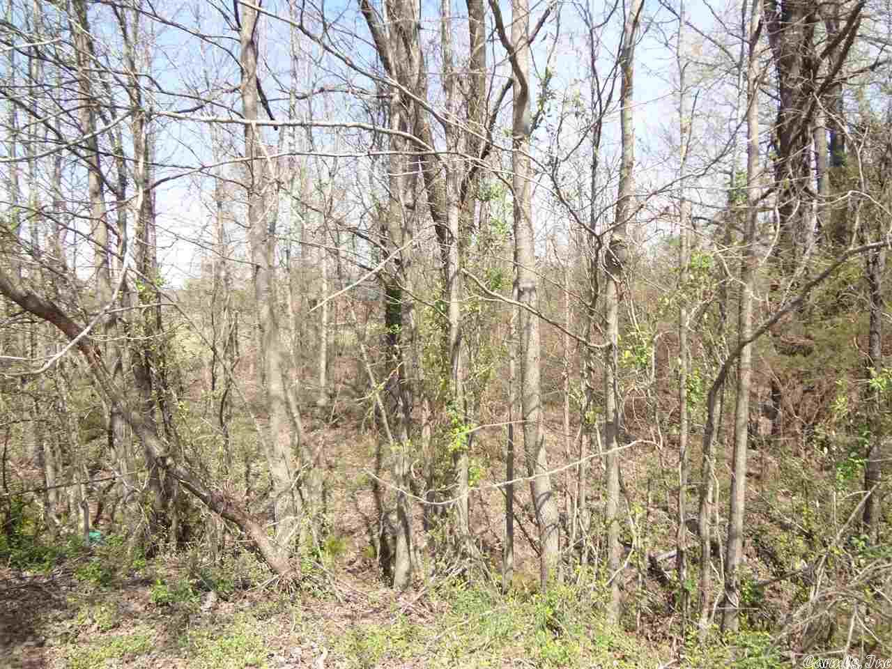 Saddle Brook Estates - Land