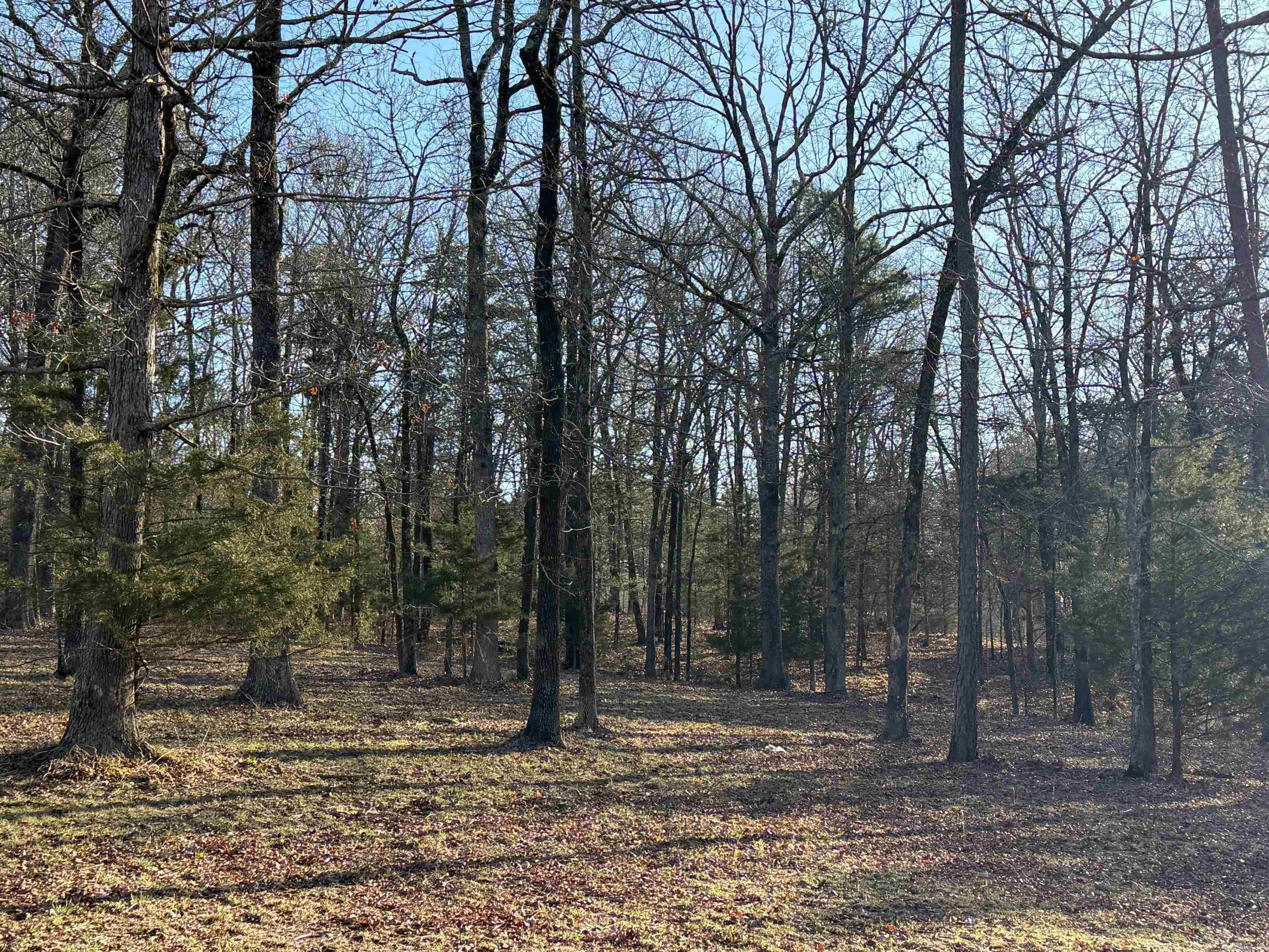 Nice Lot with a great building site located just off of Hwy 71s. Rural Water and Electric are available. Restrictions Apply. Property to be surveyed for exact legal description and acreage