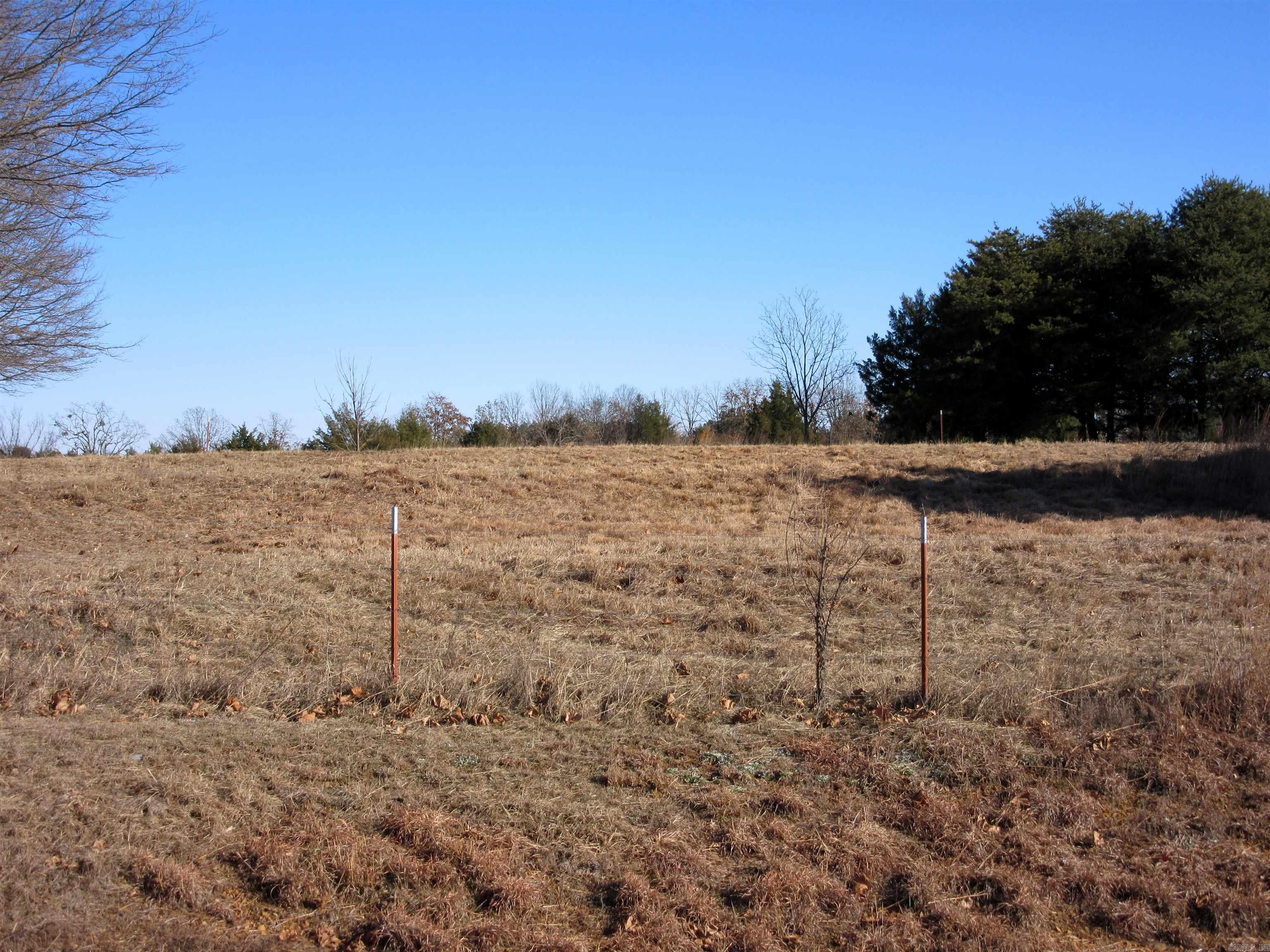 highway 25 frontage in down town Guy Arkansas. Great location for a subdivision with high traffic count to the Lake or commercial location. City water and natural gas available. No minerals convey