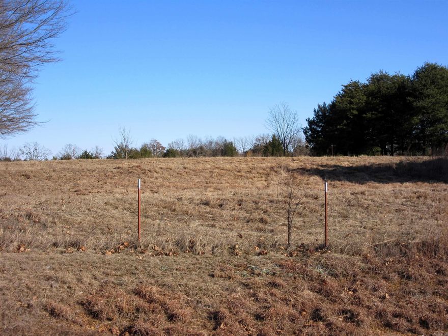 highway 25 frontage in down town Guy Arkansas.  Great location for a subdivision with high traffic count to the Lake or commercial location.  City water and natural gas available.  No minerals convey