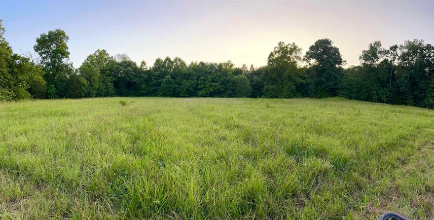 Discover the perfect blend of privacy and community on this stunning 10.82 acre tract in the desirable Bettis Mountain subdivision of Quitman. Nestled at the end of a quiet cul-de-sac, this property offers the ideal setting for your dream home. Enjoy the rolling terrain, mature trees, and the peaceful sound of Beaver Creek flowing along the bottom of the property. Each lot in this neighborhood features acreage along with access to a private stocked lake. This lot provides plenty of space and seclusion while still being part of a beautiful, well-kept area. Located just minutes from town, Greers Ferry Lake, and Heber Springs, it is the ideal setting to build your forever home surrounded by nature.