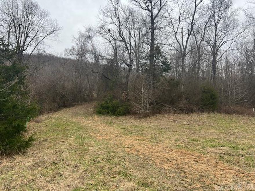 Welcome to the serene beauty of Parthenon, Arkansas, nestled in the heart of the picturesque Ozark Mountains. This 5.32-acre parcel of land offers an great opportunity to build your dream retreat amidst nature's outdoor paradise. Close to hiking trails, the Buffalo river, and the town of Jasper, some wooded and some cleared, this property is perfect for your weekend hideaway.