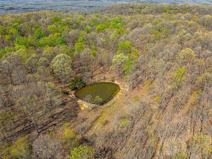 This 200 +/- Acre is a hunter's dream property!  This property has mature timber with a road leading throughout the property for easy access to stands that will stay (only a few feeders sellers will be taking)and food plots!  Yes, this property has everything a hunter needs and more!  If you're looking to have a place to unwind, get away from the city, bring those kids out and teach them how to hunt and enjoy the wildlife, fish in the ponds, play in the creek runs, or maybe even put out a camera and catch that black bear and its baby slipping through!  This property would be it!  We would love to show you this property.