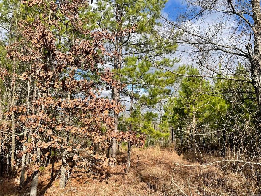 Great residential lot in the beautiful Timber Ridge East subdivision (Lot 80), ready for your dream home plans! Positioned on the hill, it will afford some great views! With two adjoining lots available, you have the flexibility to expand your property size to suit your needs. Located on the edge of town, you are close to shopping and entertainment, plus just 3 miles to the new bike trails at Ward Lake!