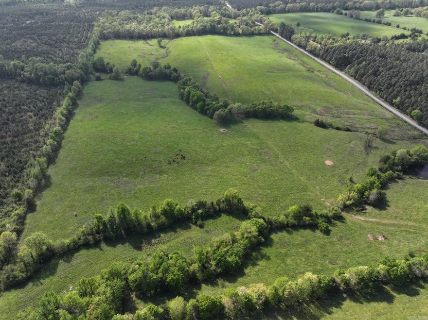Beautiful 59.39-acre tract located along Polk Road 16 just west of Hatton in Polk County, Arkansas. With direct frontage on a paved county road, this property offers convenient and reliable access year-round.  The land features stunning panoramic views of the Cross Mountains, highlighted by the iconic Whiskey Peak Tower in the distance—providing a scenic backdrop that sets this property apart.  Comprised primarily of open pasture, the property is well-suited for livestock and is already fenced, making it immediately functional for agricultural use. Multiple prime building sites are scattered throughout, offering flexibility for a custom home, cabin, or rural retreat.  In addition to its agricultural potential, the property presents excellent recreational opportunities, with ample space for outdoor activities such as hunting, riding, or exploring.  Whether you're looking for a working piece of land, a private getaway, or a future homesite with incredible views, this versatile acreage delivers.