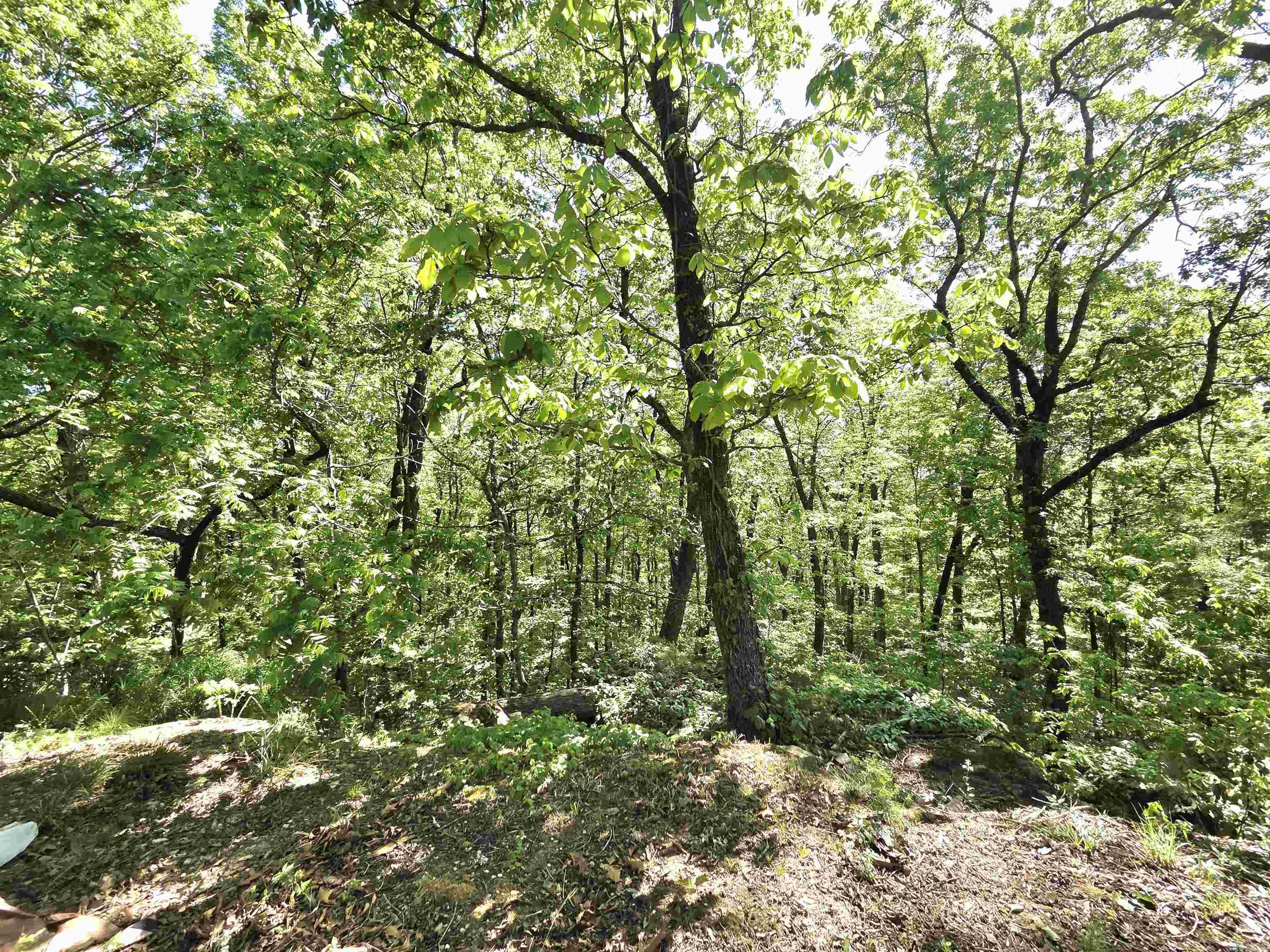 BLACK BEAR BLUFF - Residential