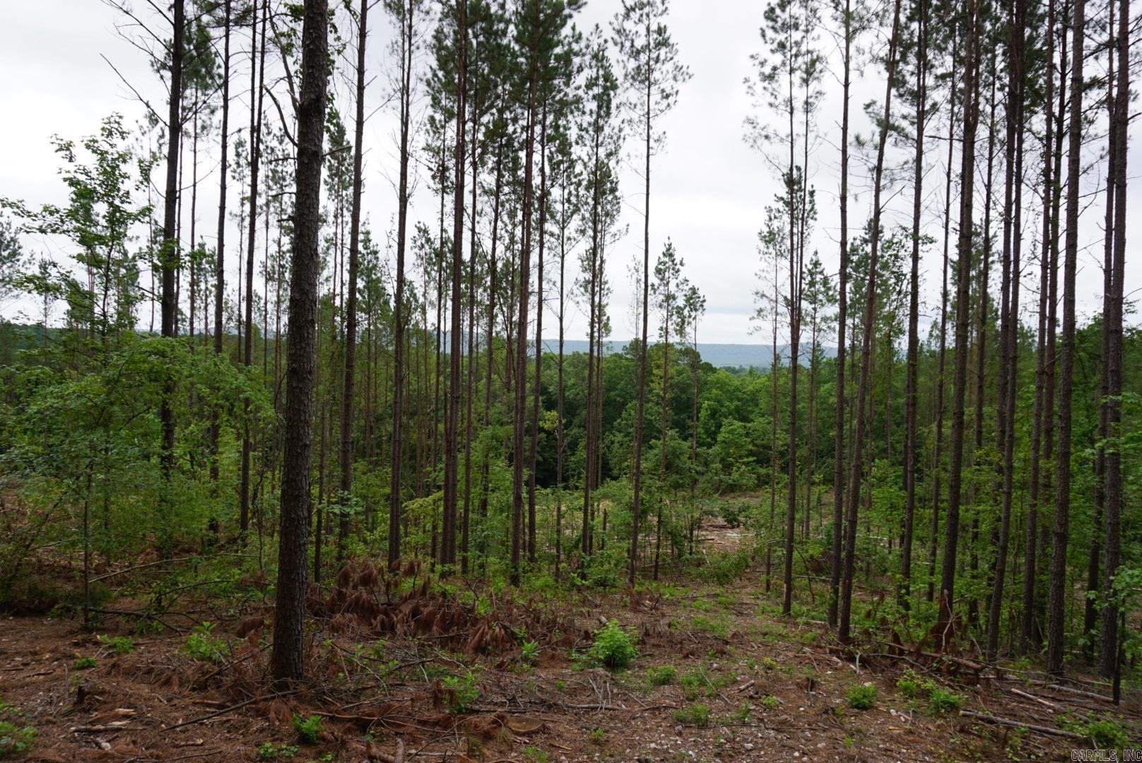 Approximately 10 acres of land for sale in Montgomery County with scenic mountain views. The property is conveniently located near the Caddo River and the Albert Pike Recreation Area, providing easy access to outdoor recreation. It is approximately 40 miles from Hot Springs, offering a balance of rural living with access to city amenities.