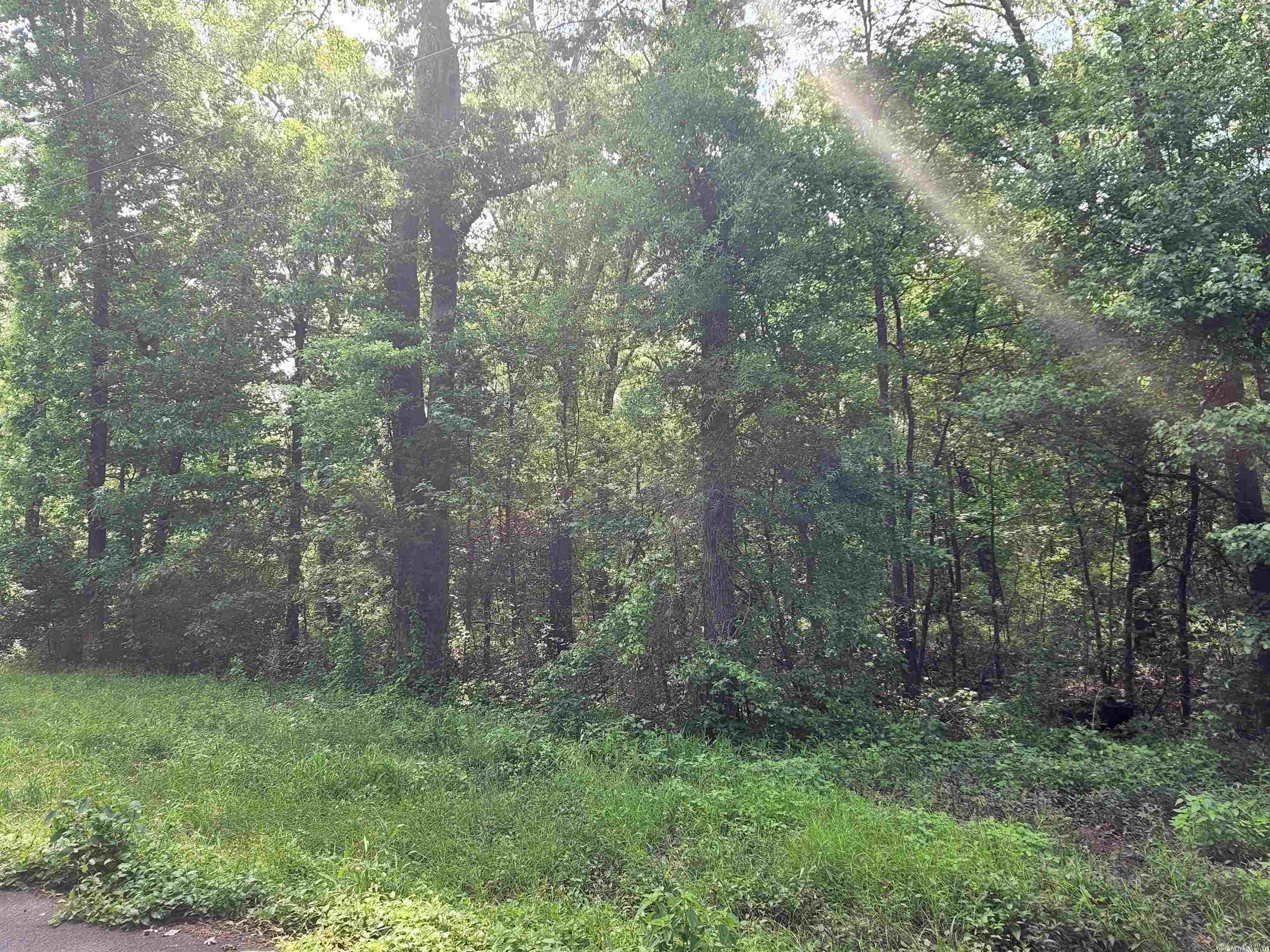 WATERFRONT COVE - Land