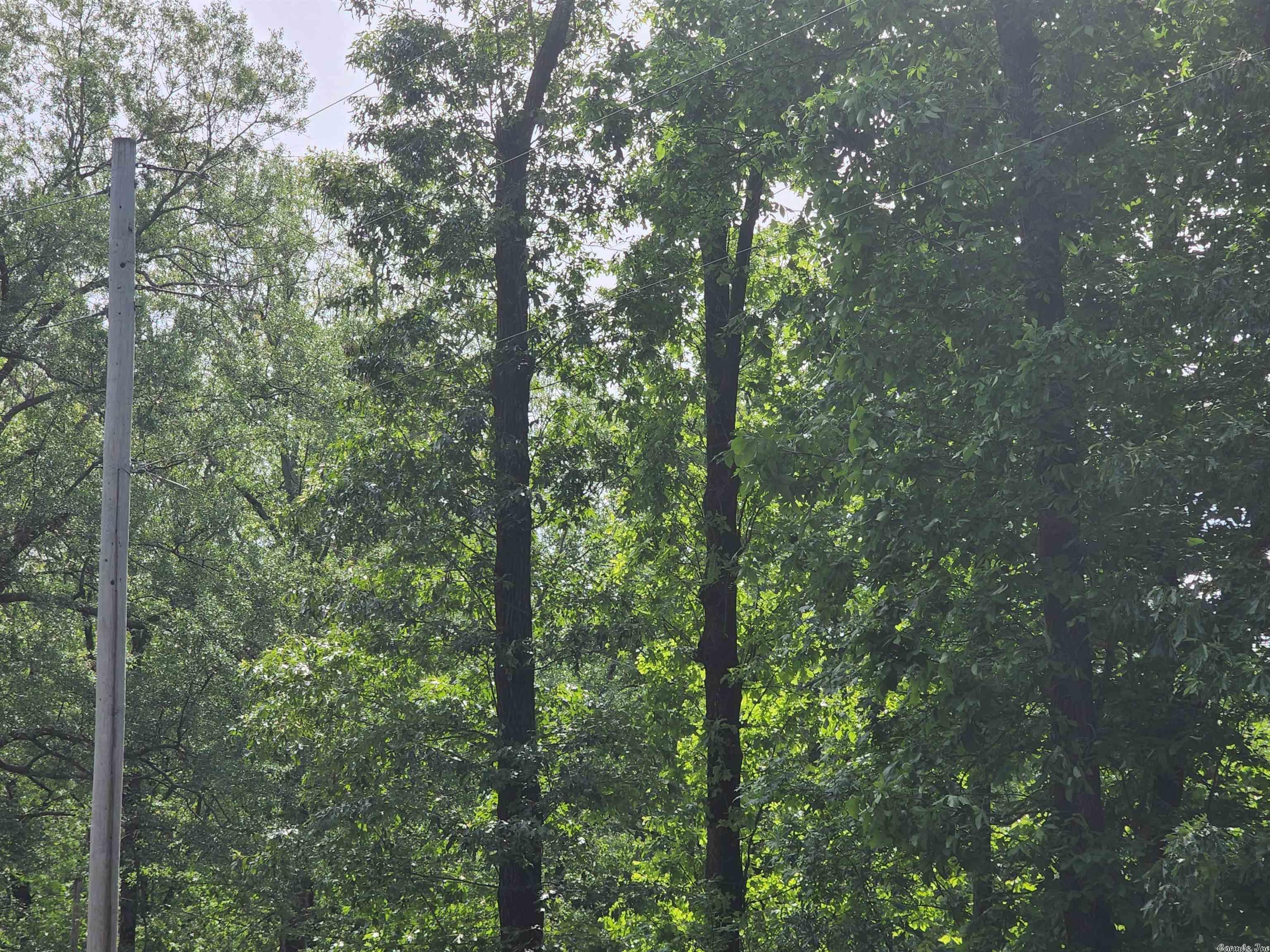 WATERFRONT COVE - Land