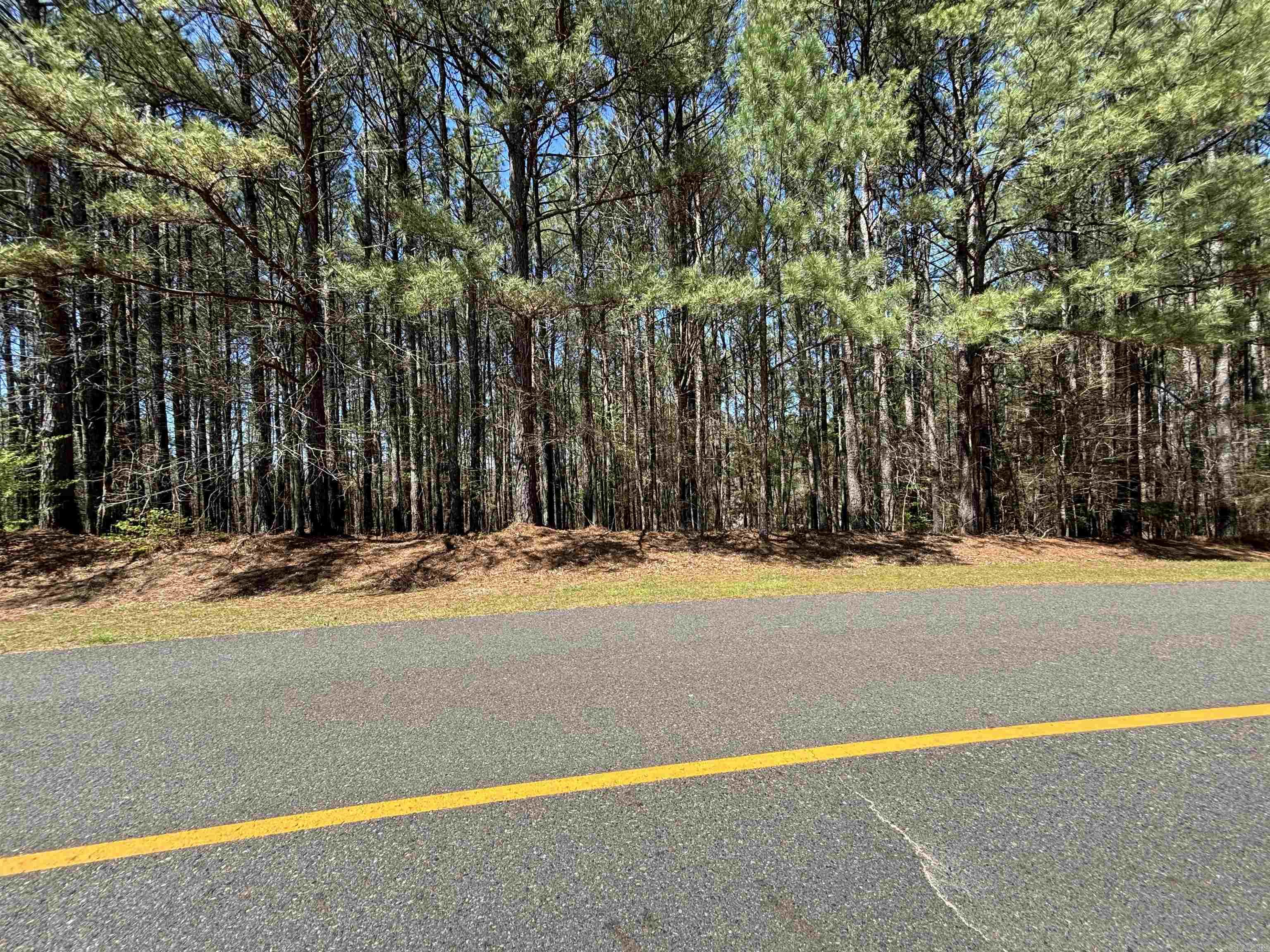 Don’t miss this opportunity to own a lot in Hot Springs Village to build your dream home with a house plan on file for you! This community has plenty to offer, from tennis courts, swimming pools, lakes, golf courses & other amenities. With the added security of a gated community & nightly rentals being allowed, what more could you ask for? Please see neighboring lot MLS #25000112 for sale as well!