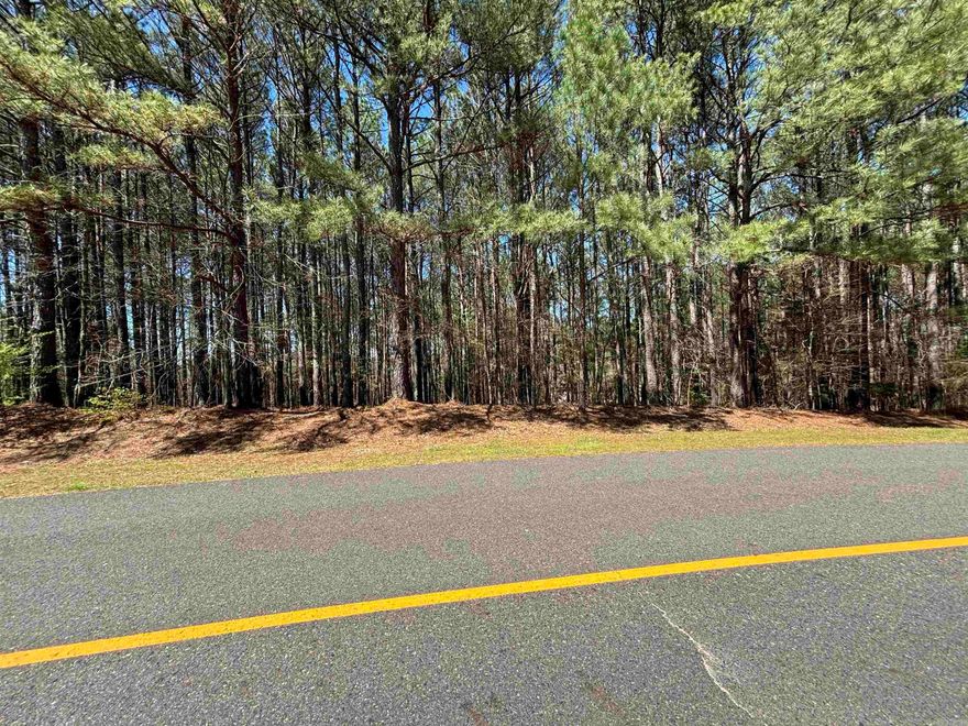 Don’t miss this opportunity to own a lot in Hot Springs Village to build your dream home with a house plan on file for you! This community has plenty to offer, from tennis courts, swimming pools, lakes, golf courses & other amenities. With the added security of a gated community & nightly rentals being allowed, what more could you ask for? Please see neighboring lot MLS #25000112  for sale as well!