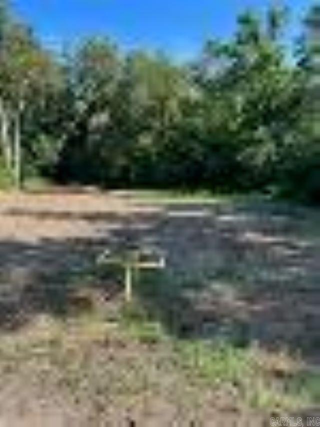 Leaning Pines - Land