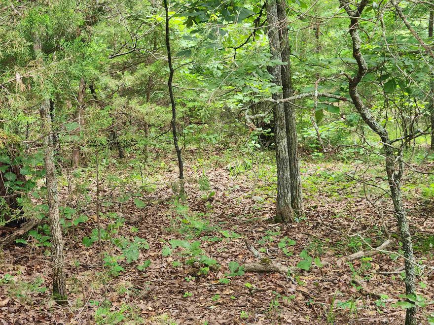 Secluded lot located on the West side of Cherokee Village. Near the South Golf Course but hidden away in the seclusion of a Cul-de-sac with no other neighbors nearby. Be the first one to build a home in this hidden little gem of an area. Private, quiet and serene. Not a neighbor in site, but you can get out on the highway quick a hiccup. Come and get a look at this fantastic piece of property and pick your spot for your forever home or build a getaway vacation home. Close enough to the South Golf course to drive your cart but far enough to not worry about dodging errant balls. This lot is on the Fulton County side of the Village so you can get the High-Speed NEXT internet from the Co-Op. Don't forget that Cherokee Village has Two 18-hole golf courses to work on your game, 7 lakes to hone your fishing skills and the beautiful Southfork river running through it you are up for a lazy floating trip down the river.