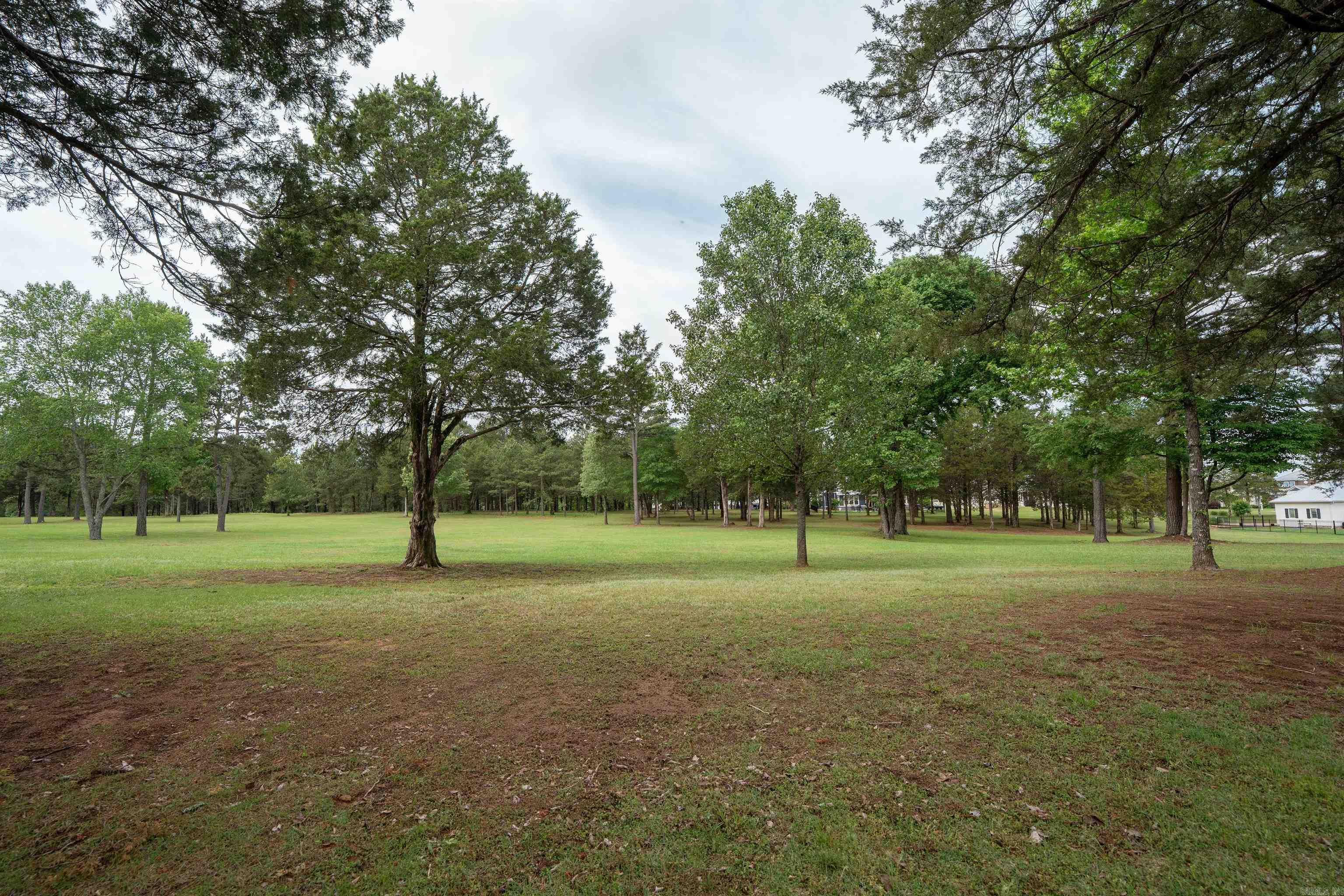BRIGHTON POINTE - Residential
