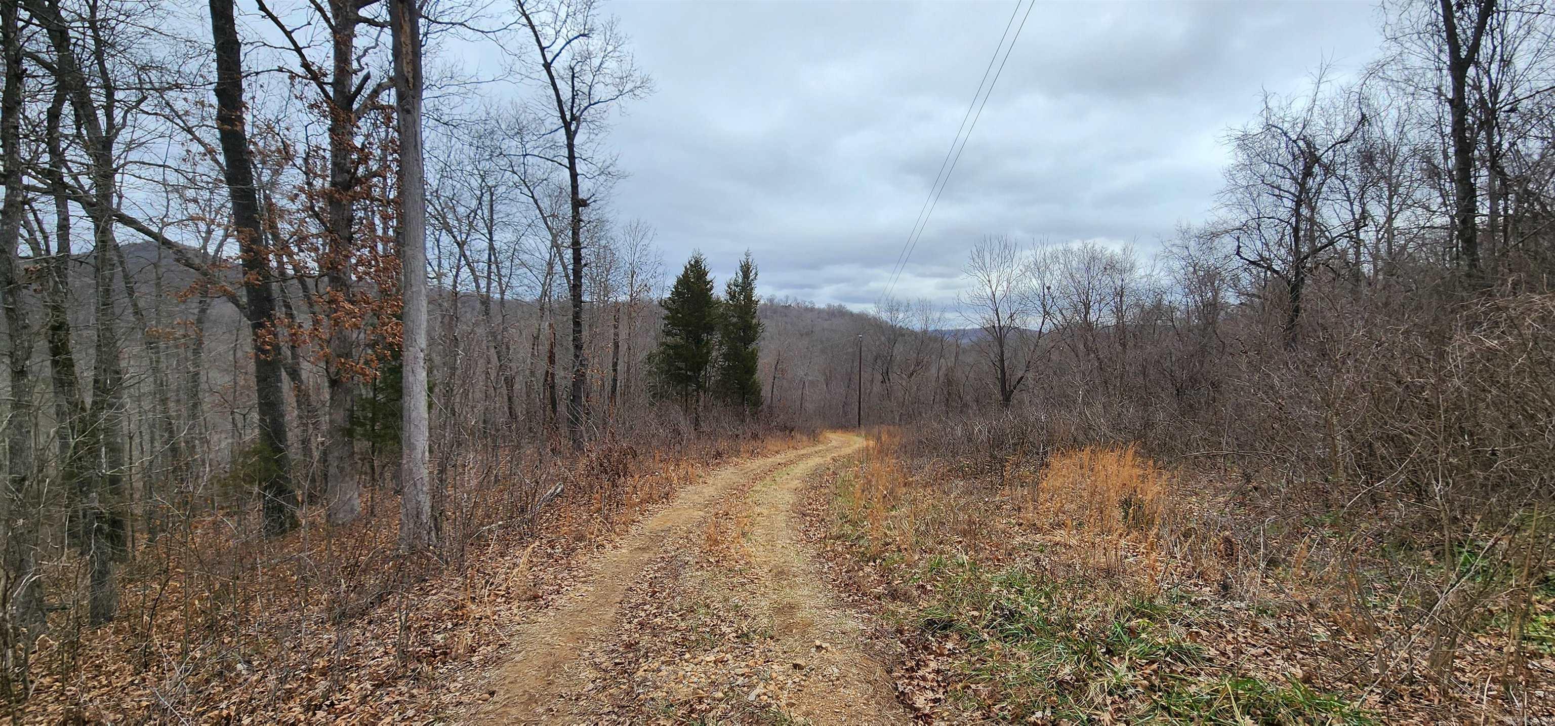 Green Forrest - Land